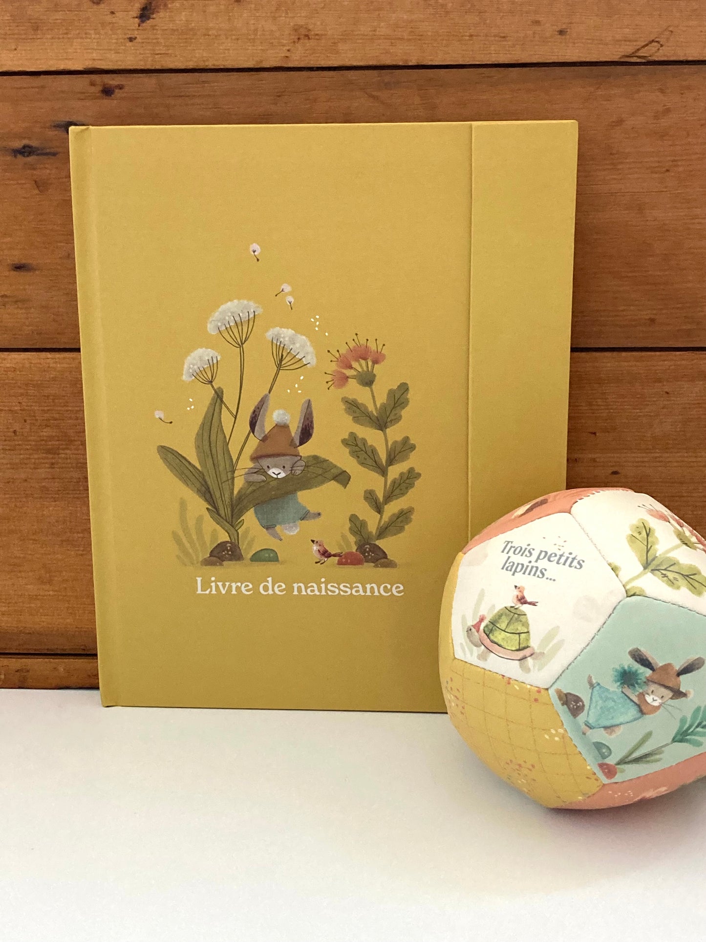 Livre de bienvenue pour bébé - LIVRE DE NAISSANCE … en français !