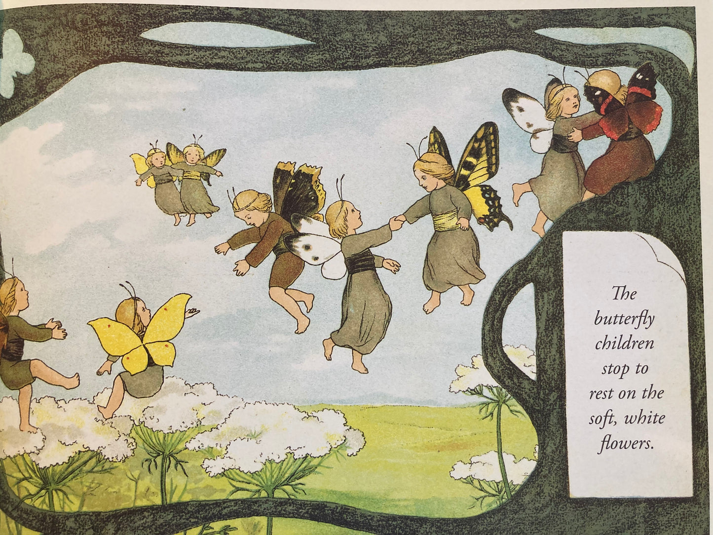 Livre d'images pour enfants - L'HISTOIRE DES ENFANTS PAPILLON