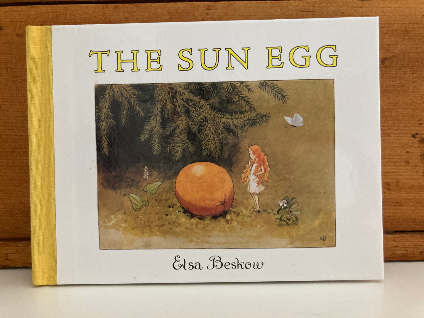 Children's Picture Book - THE SUN EGG