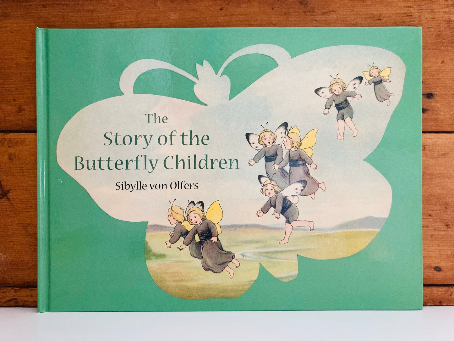 Livre d'images pour enfants - L'HISTOIRE DES ENFANTS PAPILLON