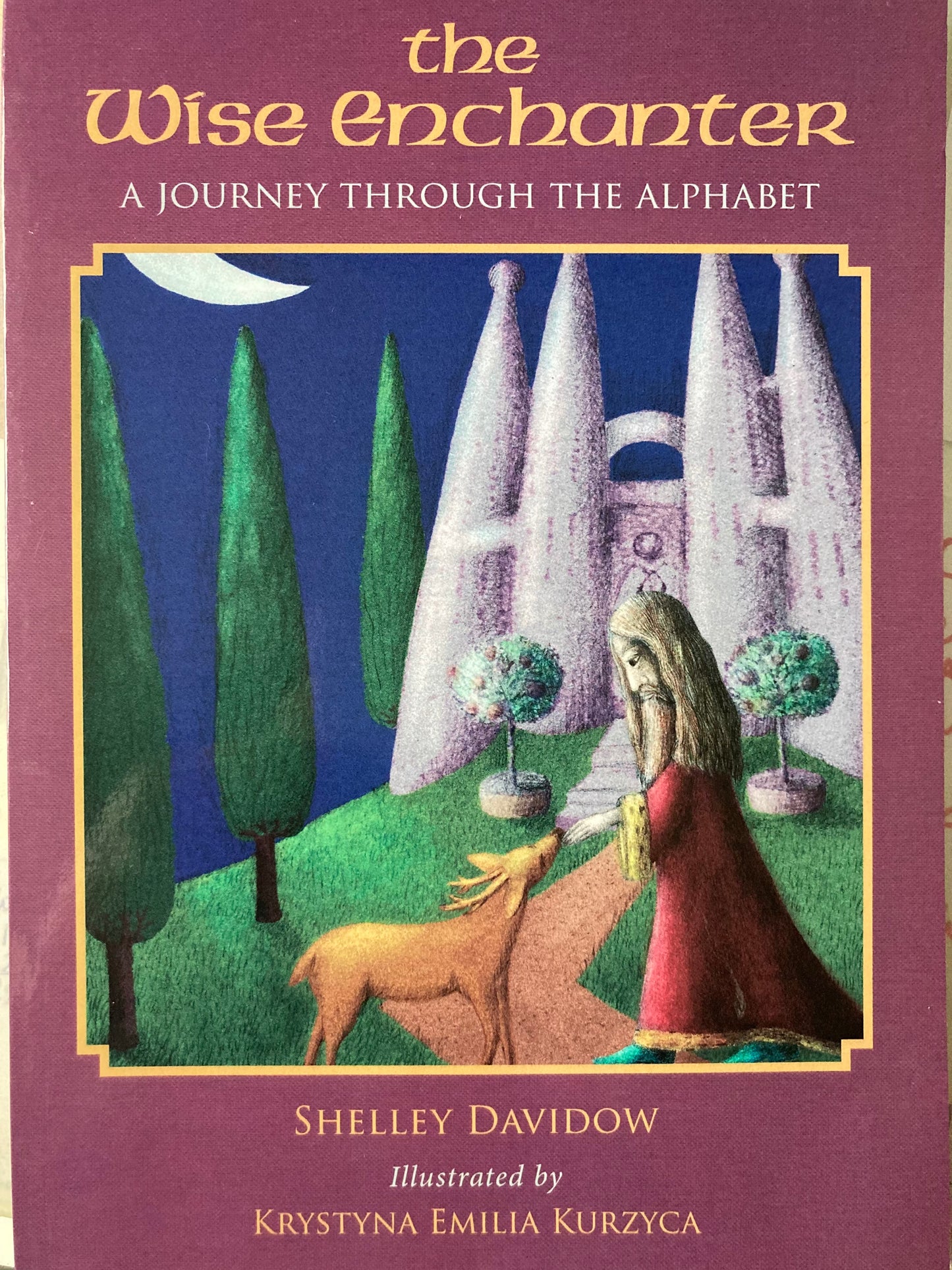 Educational Chapter Book - THE WISE ENCHANTER (A Journey through the Alphabet)