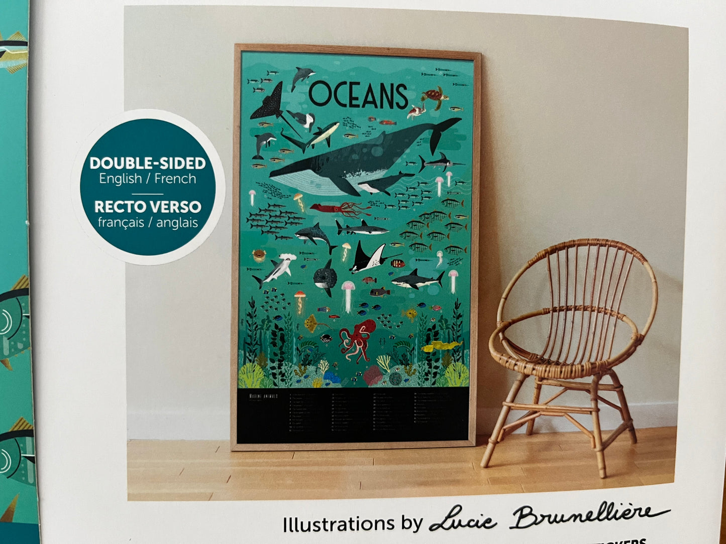 Activity Set - OCEAN POSTER with removable STICKERS!