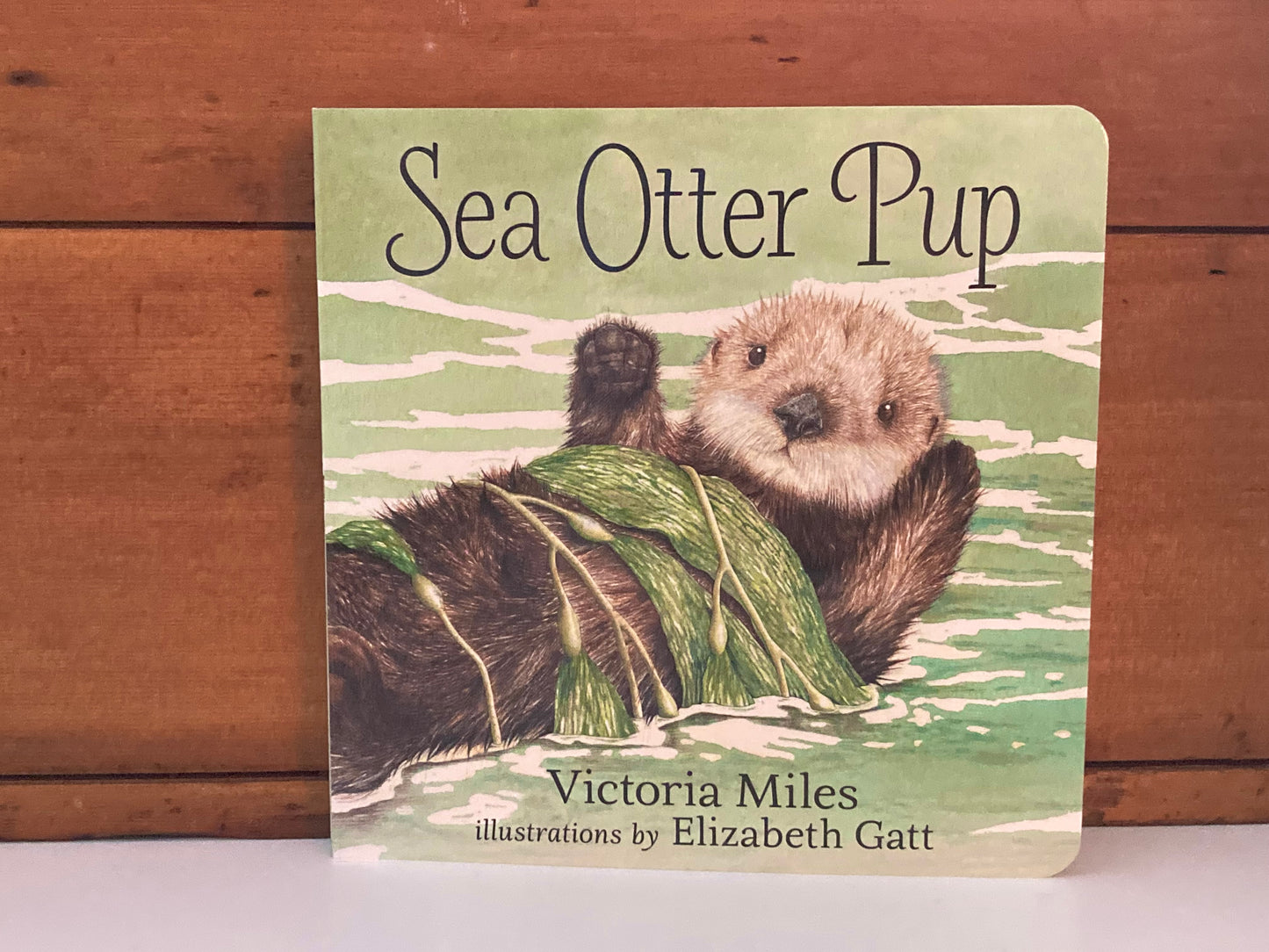 Board Book, Baby - SEA OTTER PUP