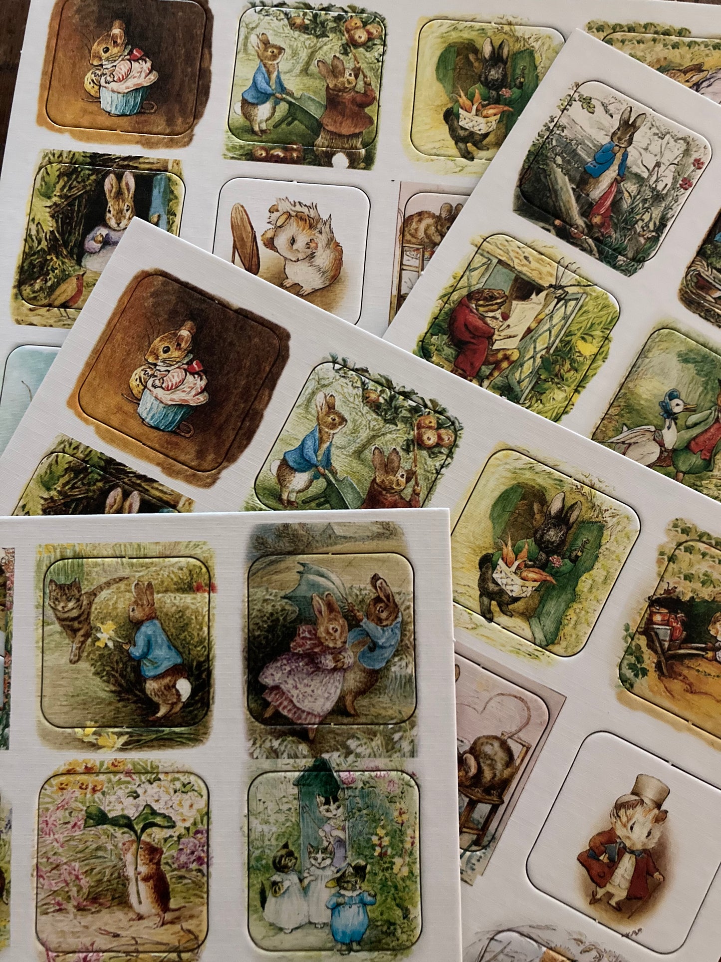 Ensemble de jeu de société - Jeu de correspondance de mémoire PETER RABBIT