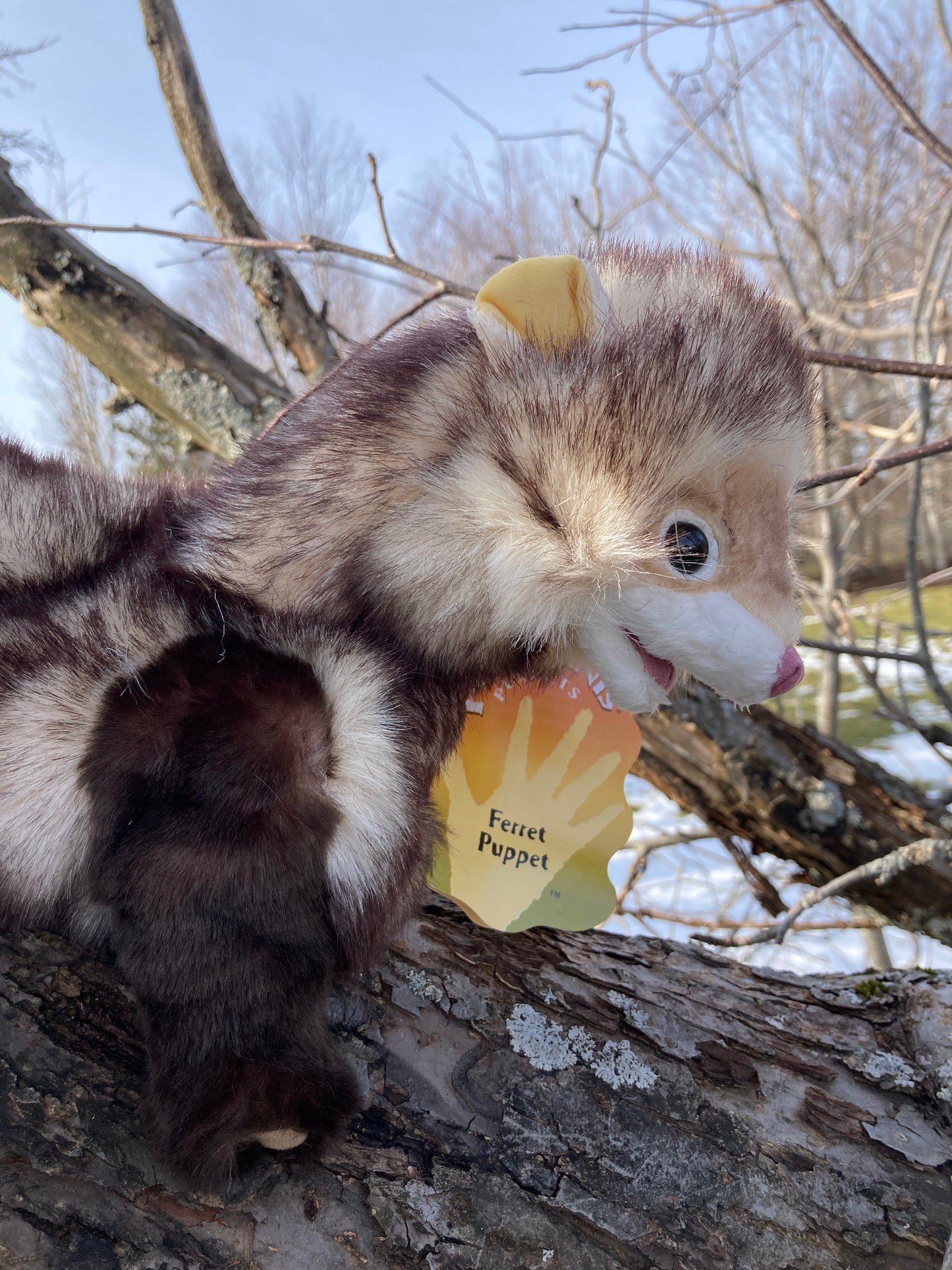 Soft Puppet Toy - FERRET Hand Puppet