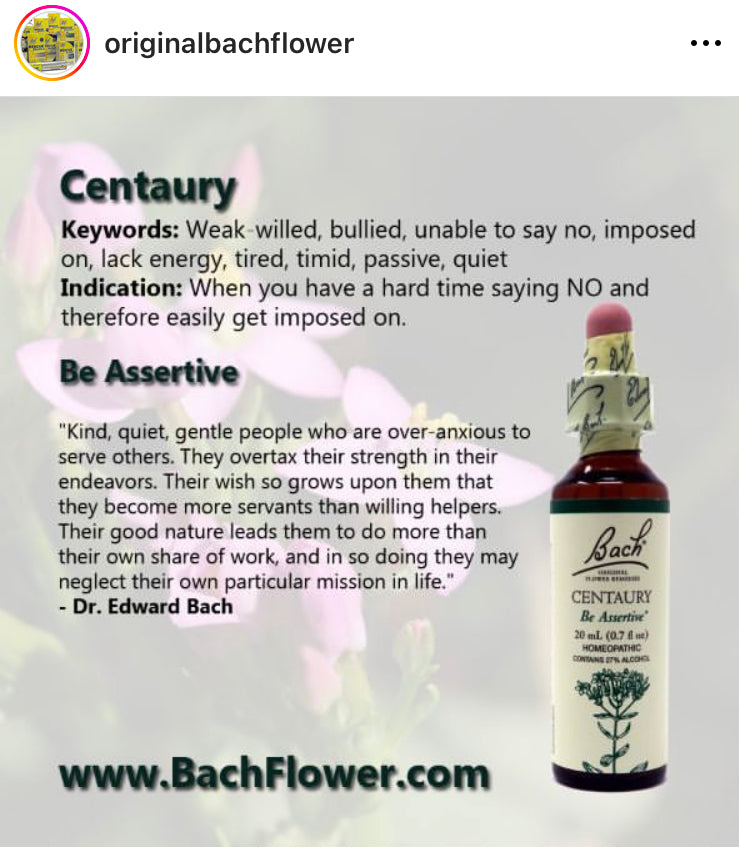 Bach Holistic Flower Remedies - CENTAURY