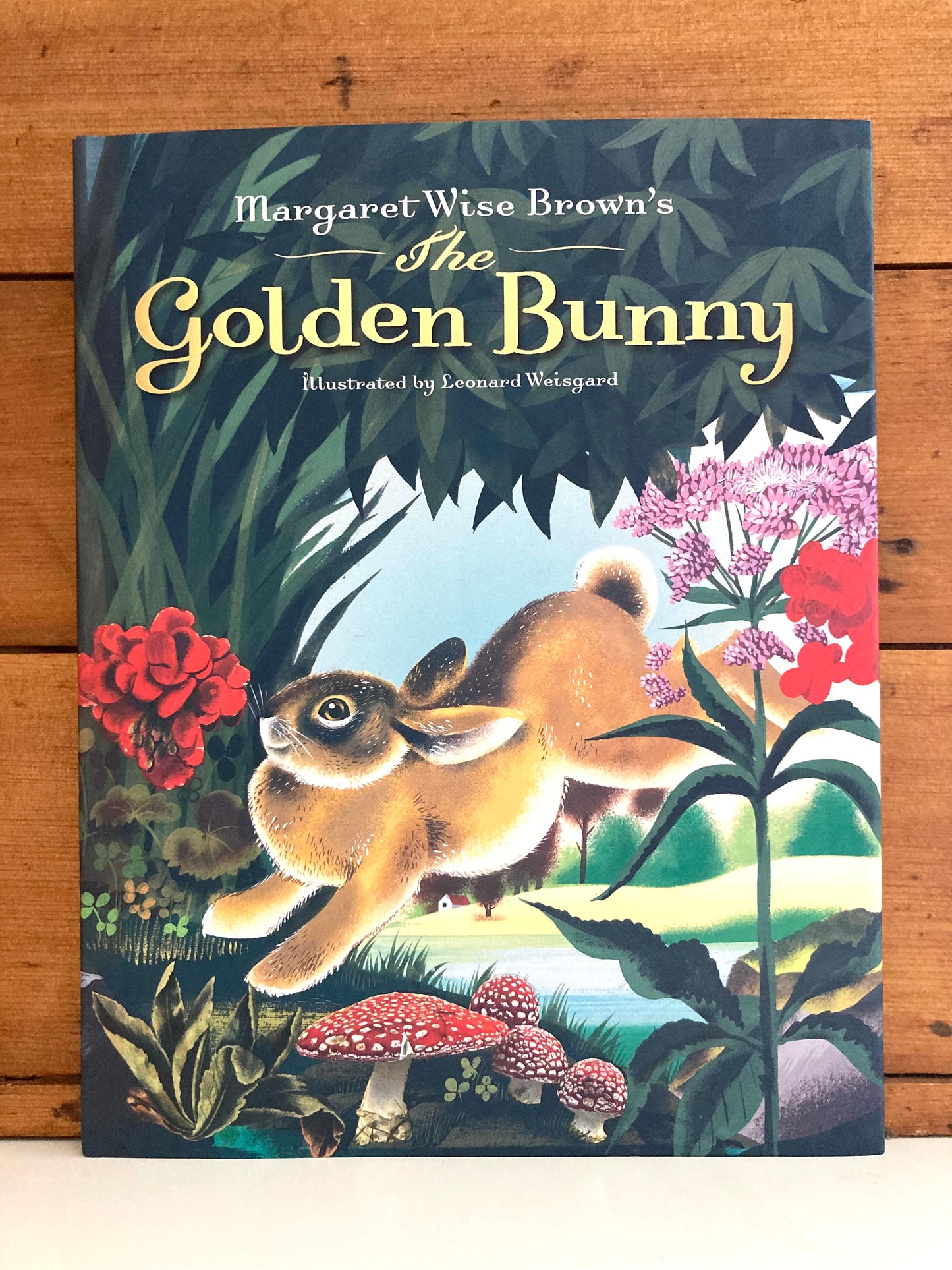 Livre d'images pour enfants - LE LAPIN D'OR de Margaret Wise Brown