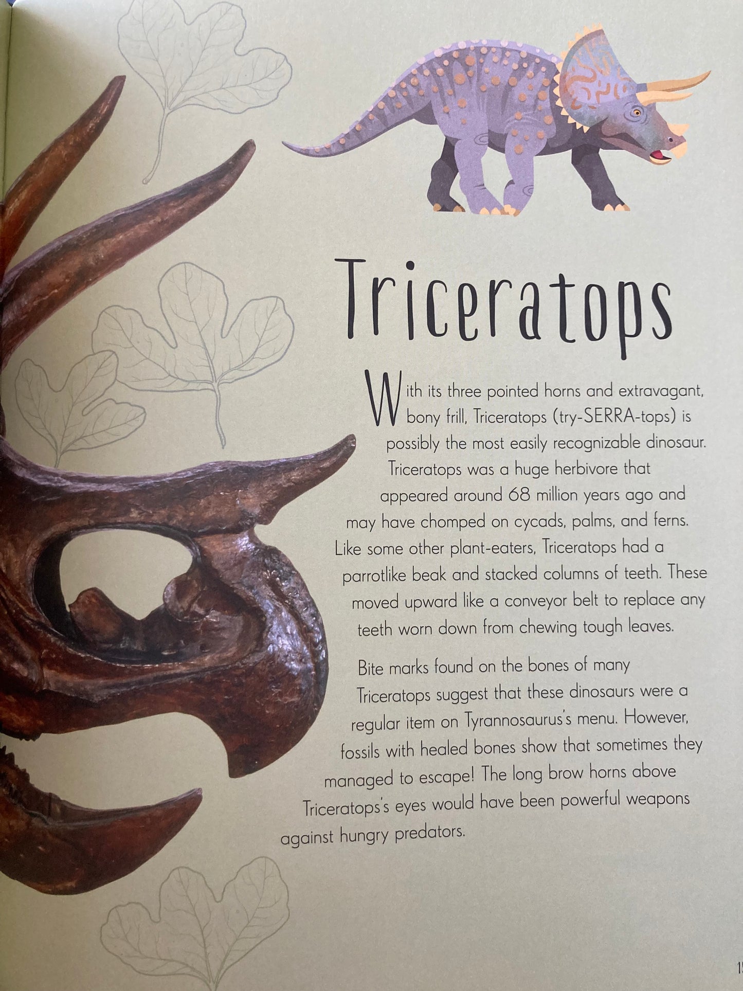Educational Resource Picture Book - DINOSAURS AND PRE-HISTORIC LIFE
