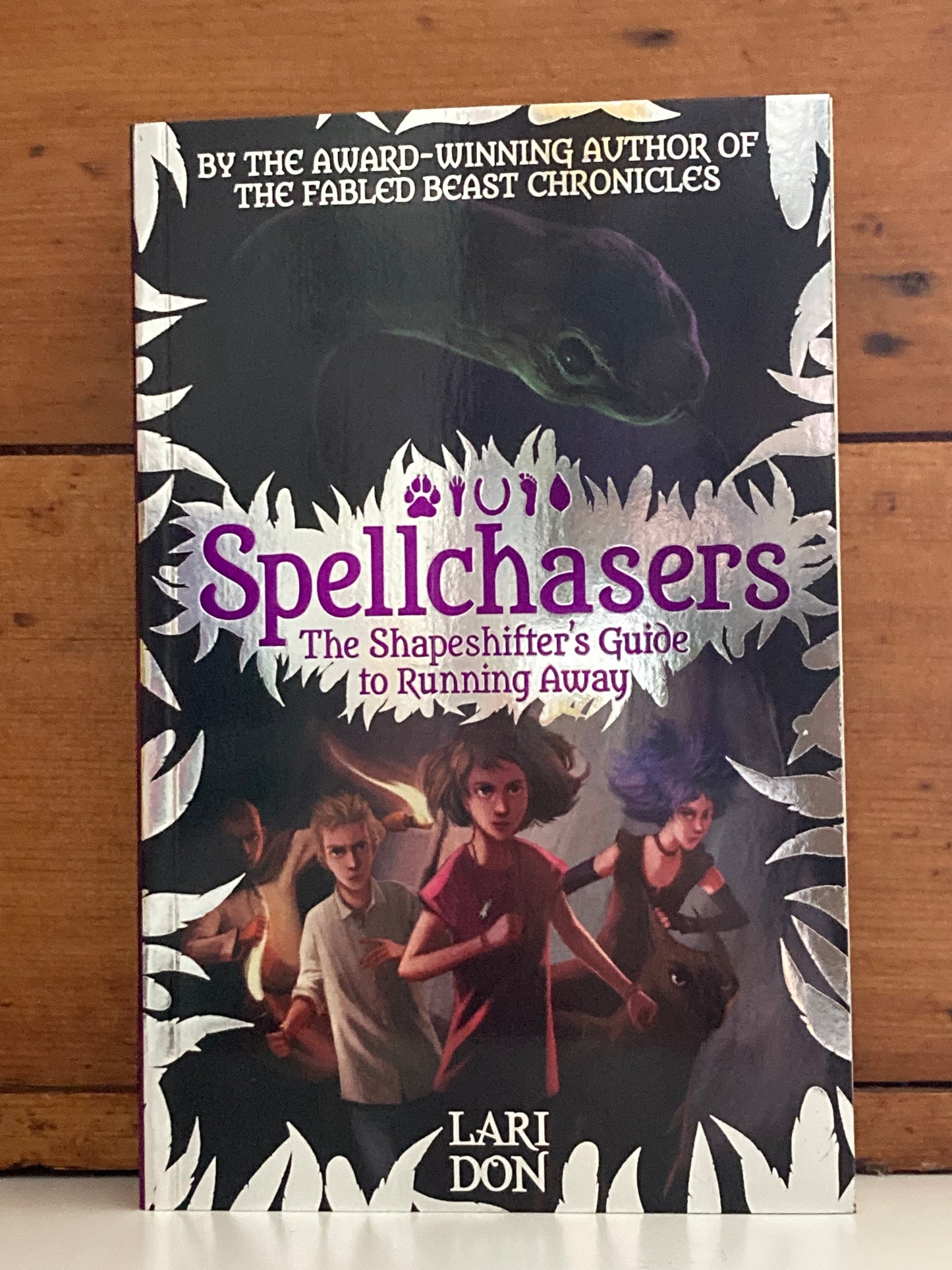 Chapter Books for Older Readers - SPELLCHASERS TRILOGY