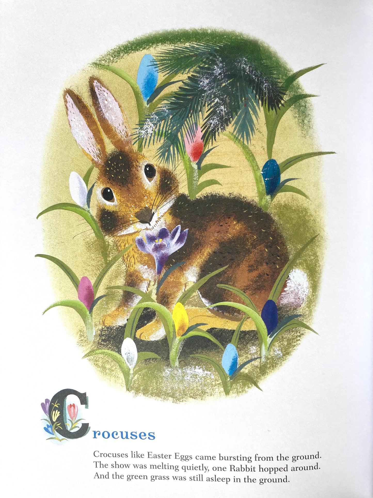 Livre d'images pour enfants - LE LAPIN D'OR de Margaret Wise Brown