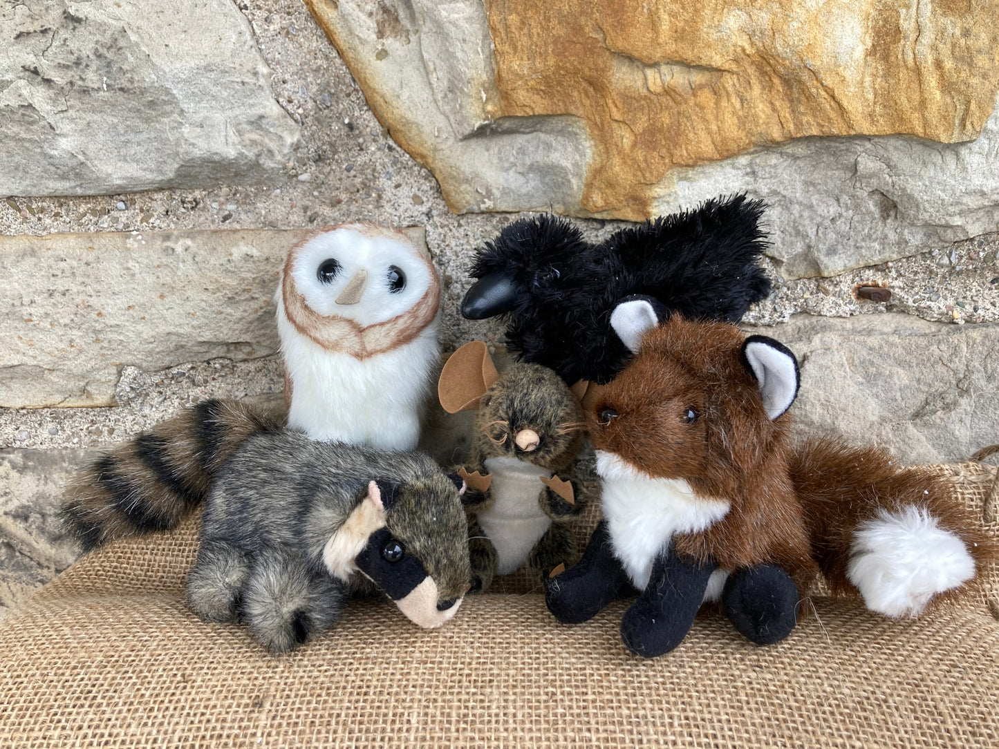 Ensemble de mini marionnettes souples - ANIMAUX SAUVAGES de l'ÎLE-DU-PRINCE-ÉDOUARD