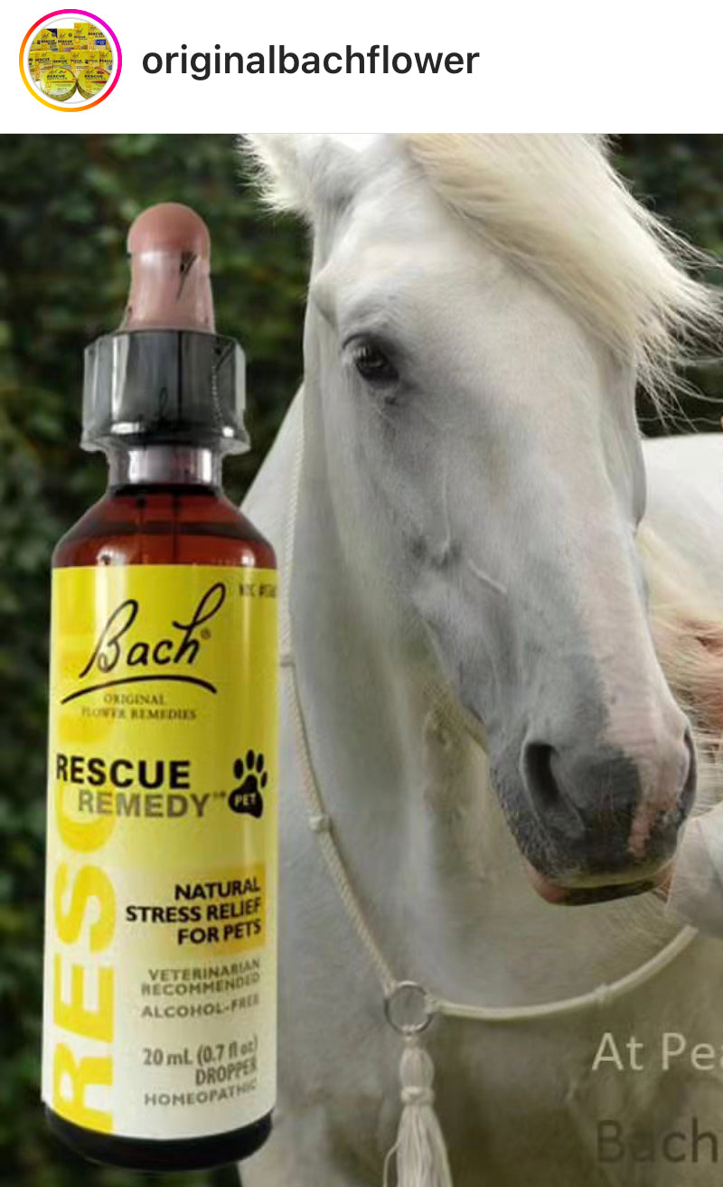 Bach Holistic Flower Remedies - RESCUE DROPS