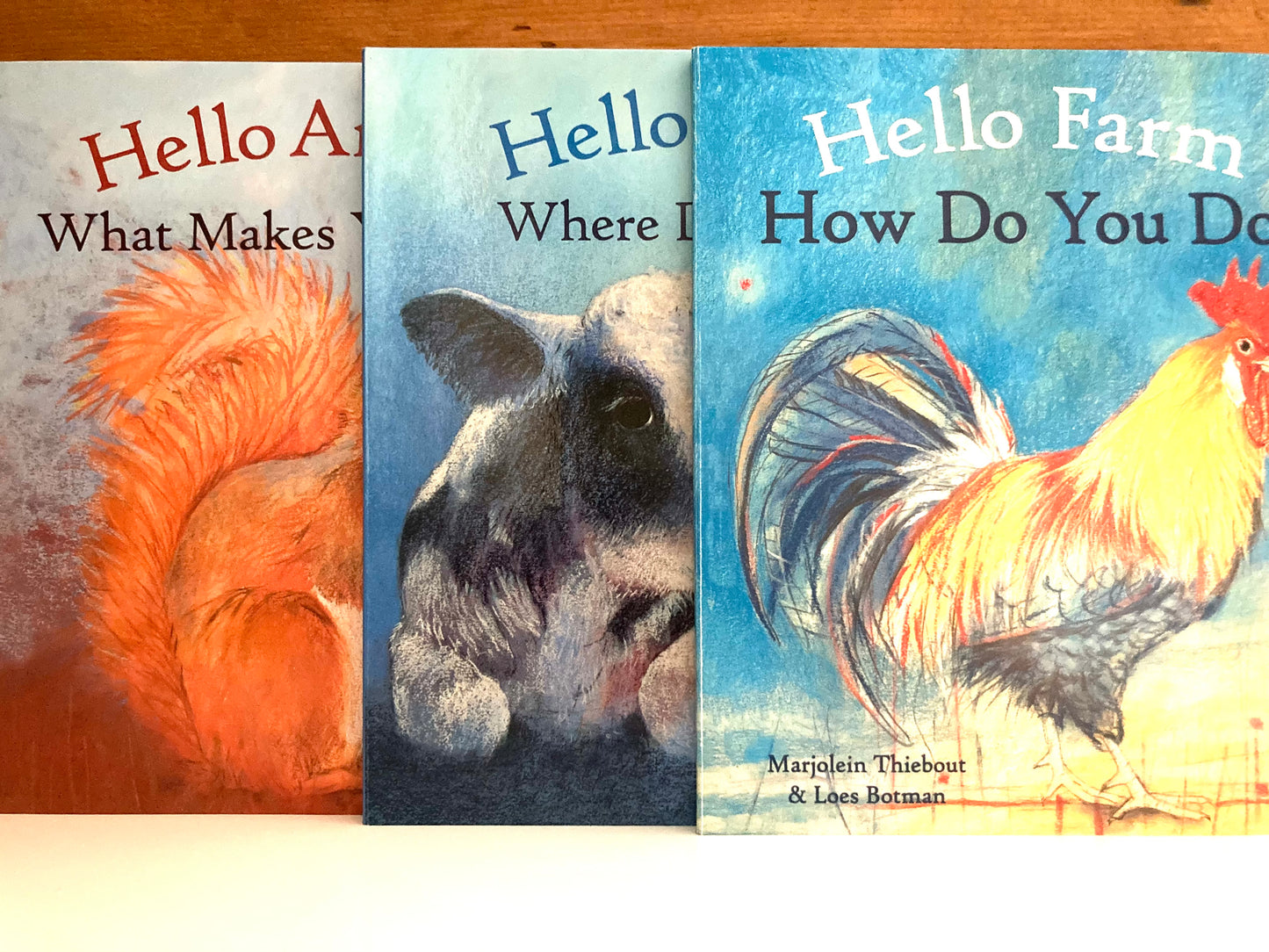 Board Book, Baby - HELLO Series of Books