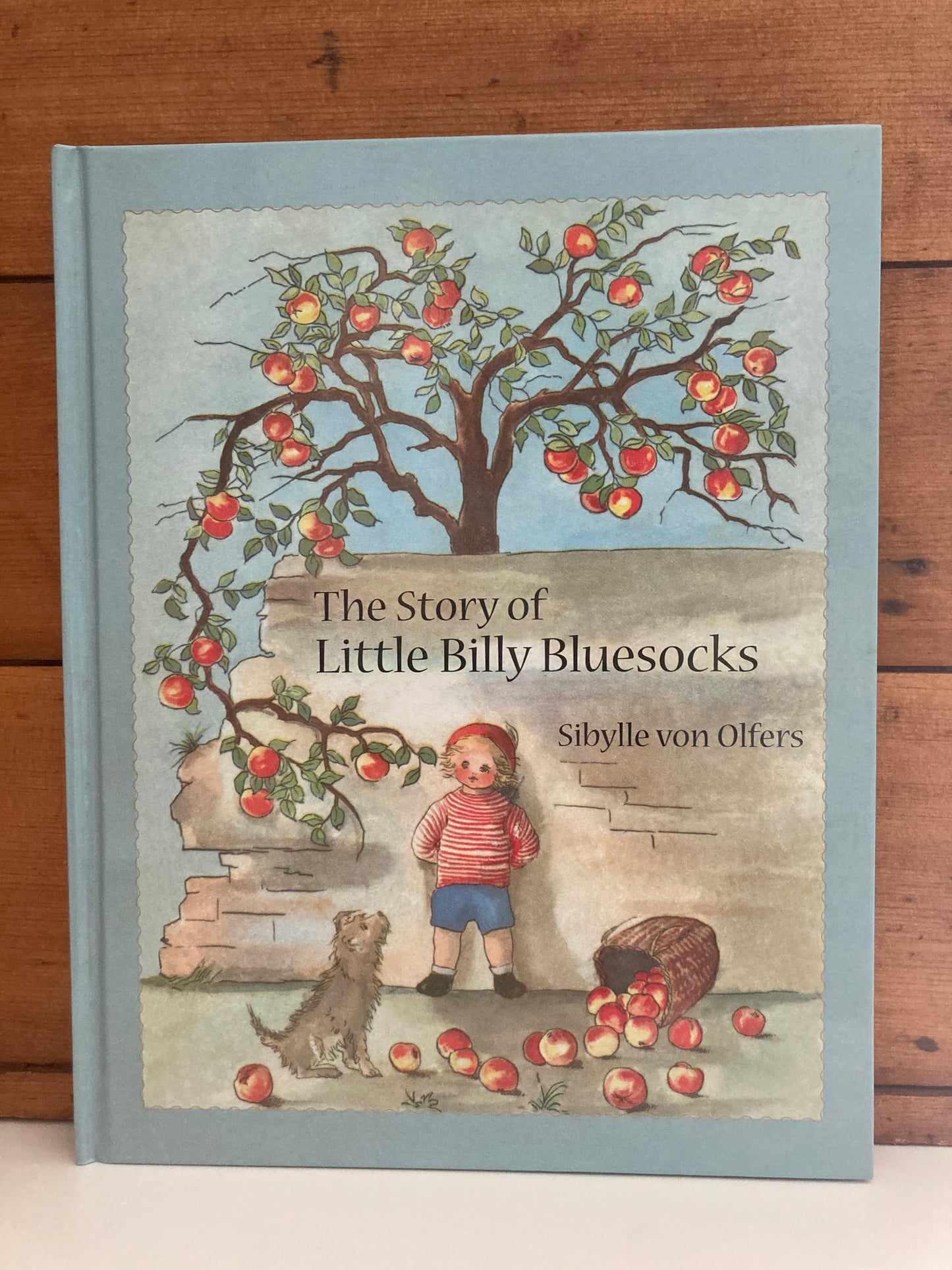 Livre d'images pour enfants - L'HISTOIRE DU PETIT BILLY BLUESOCKS