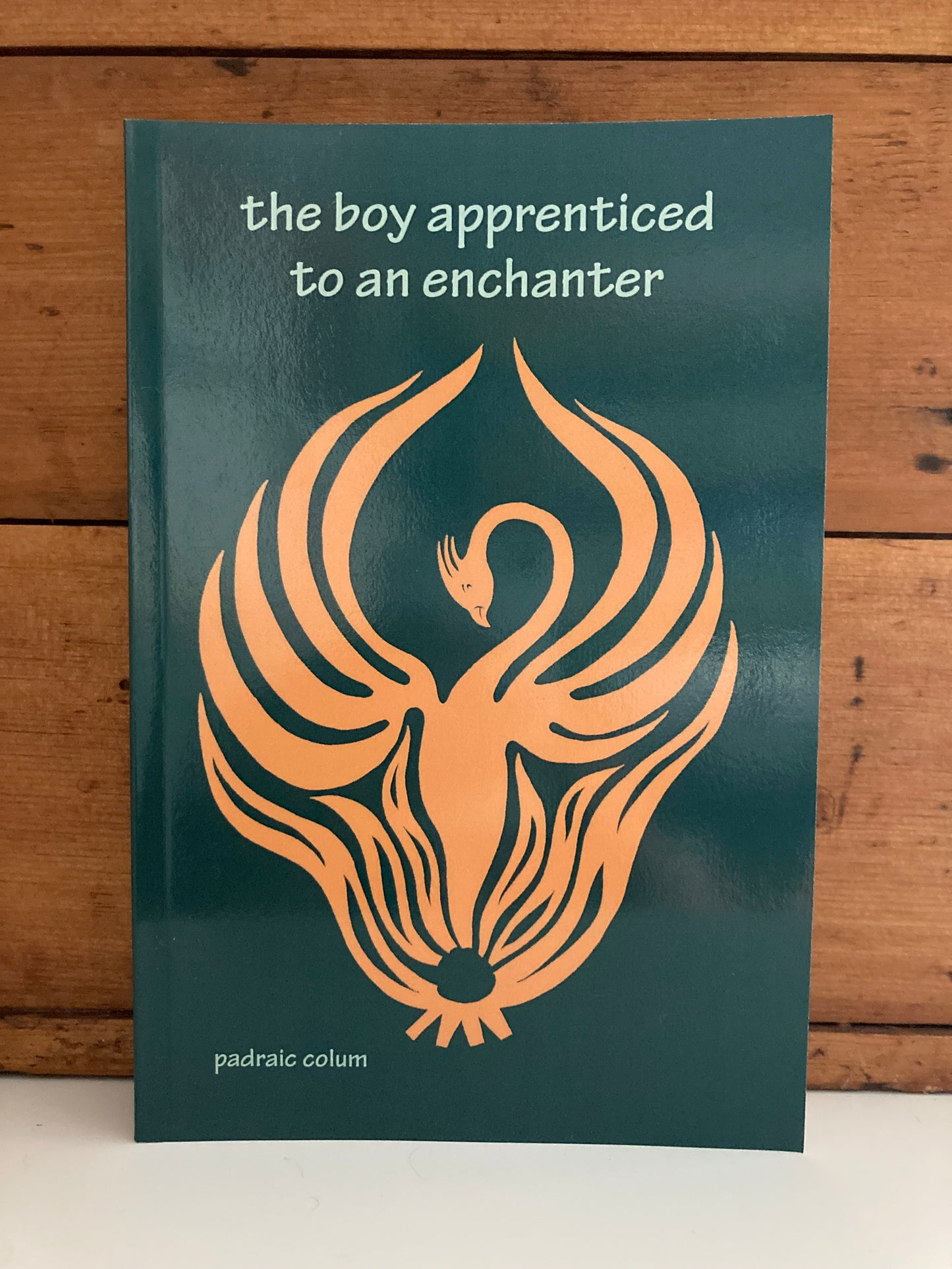 Chapter Books for Older Readers - THE BOY APPRENTICED TO AN ENCHANTER