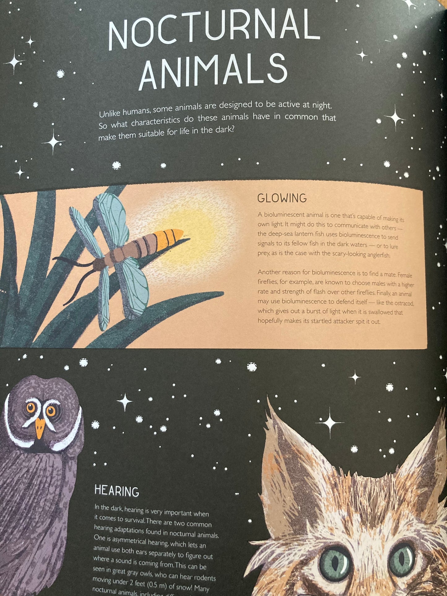 Educational Book - WHEN THE STARS COME OUT