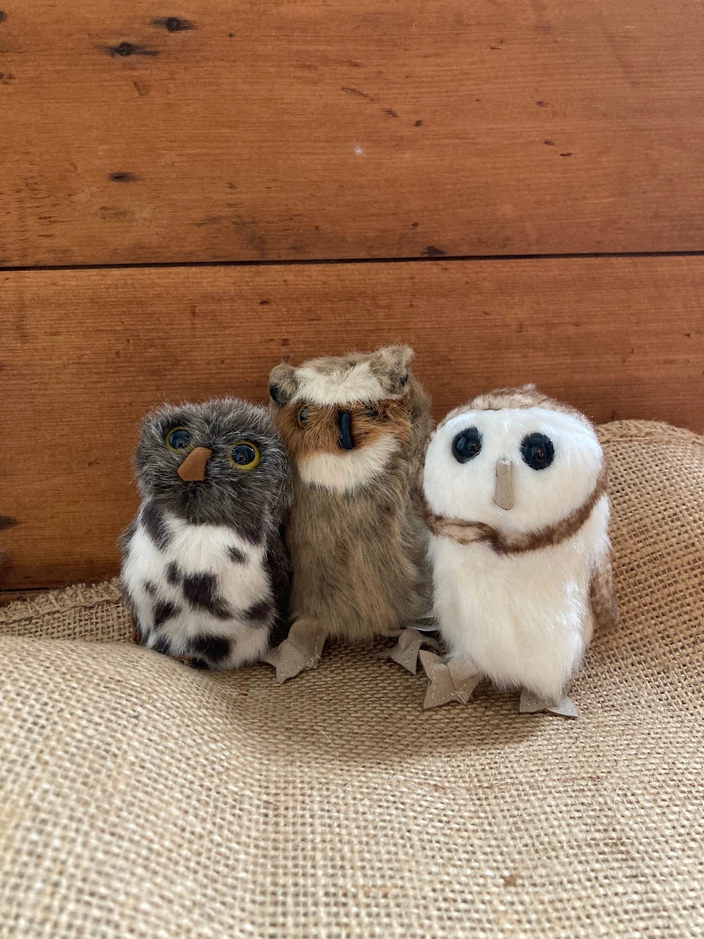 Soft Toy Finger Puppet - SPOTTED OWL