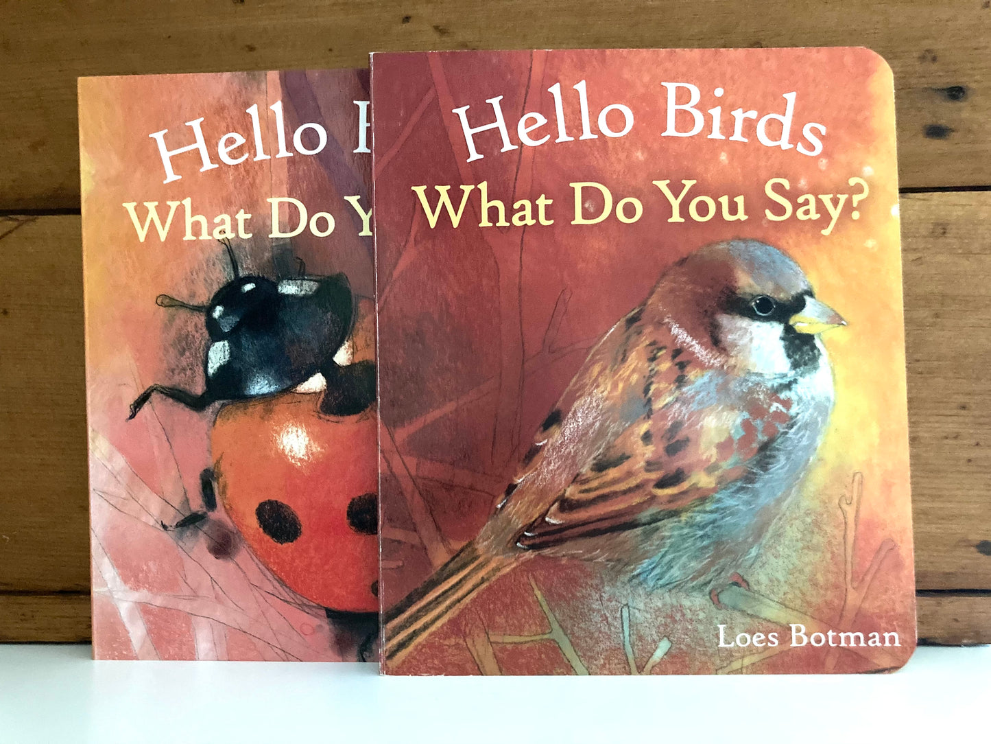 Board Book, Baby - HELLO Series of Books