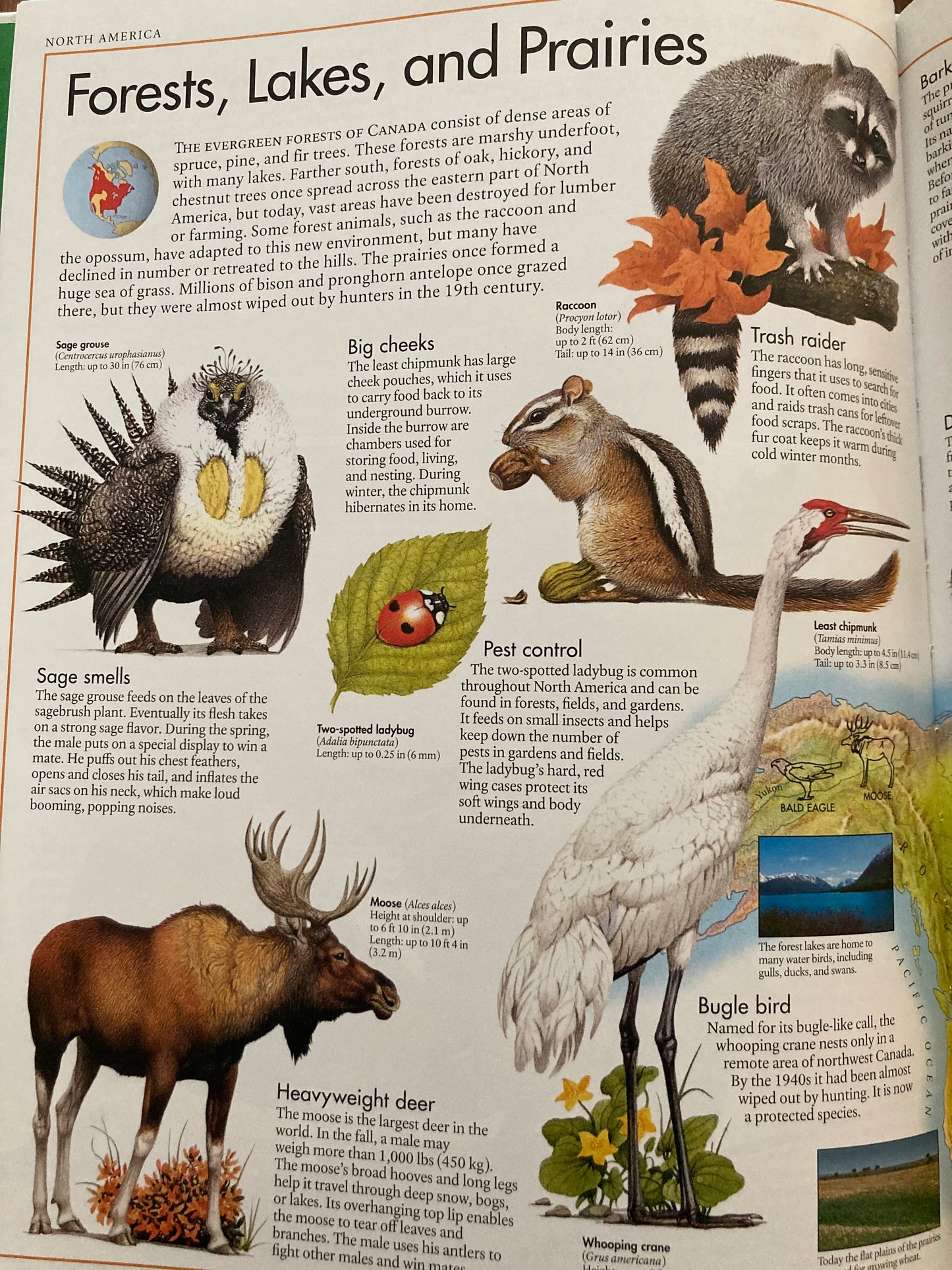 Educational Resource Book - THE ANIMAL ATLAS