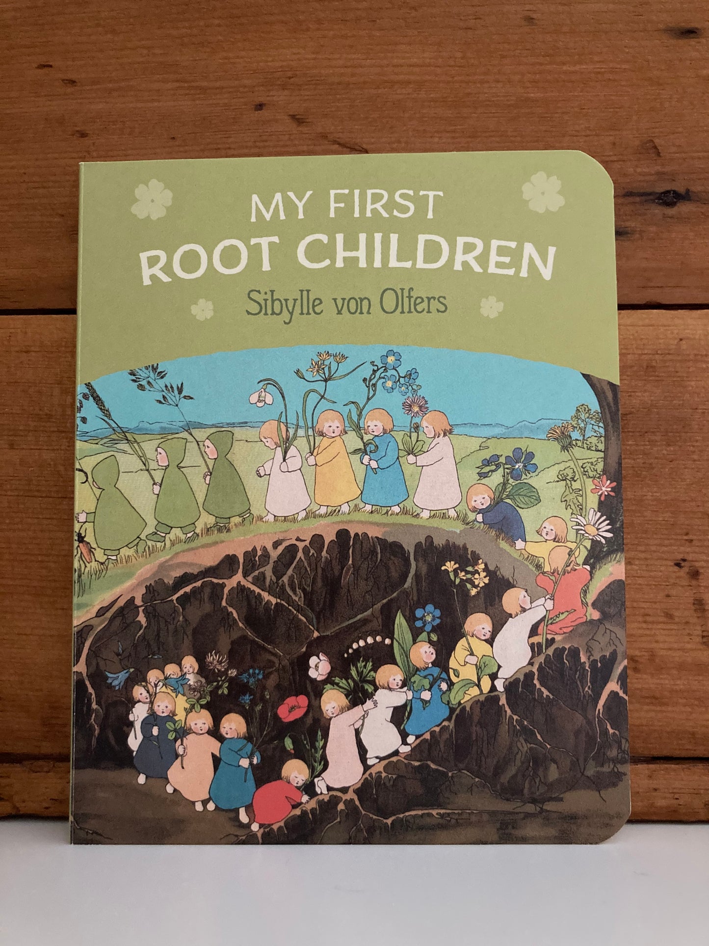 Board Book, Baby - MY FIRST ROOT CHILDREN