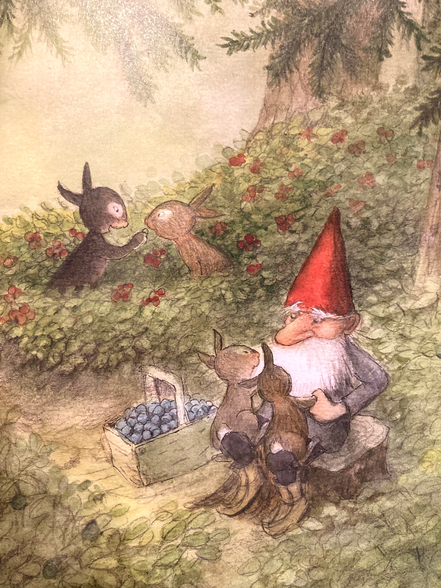 Livre d'images pour le chapitre des enfants - MIDSUMMER TOMTE et les PETITS LAPIN