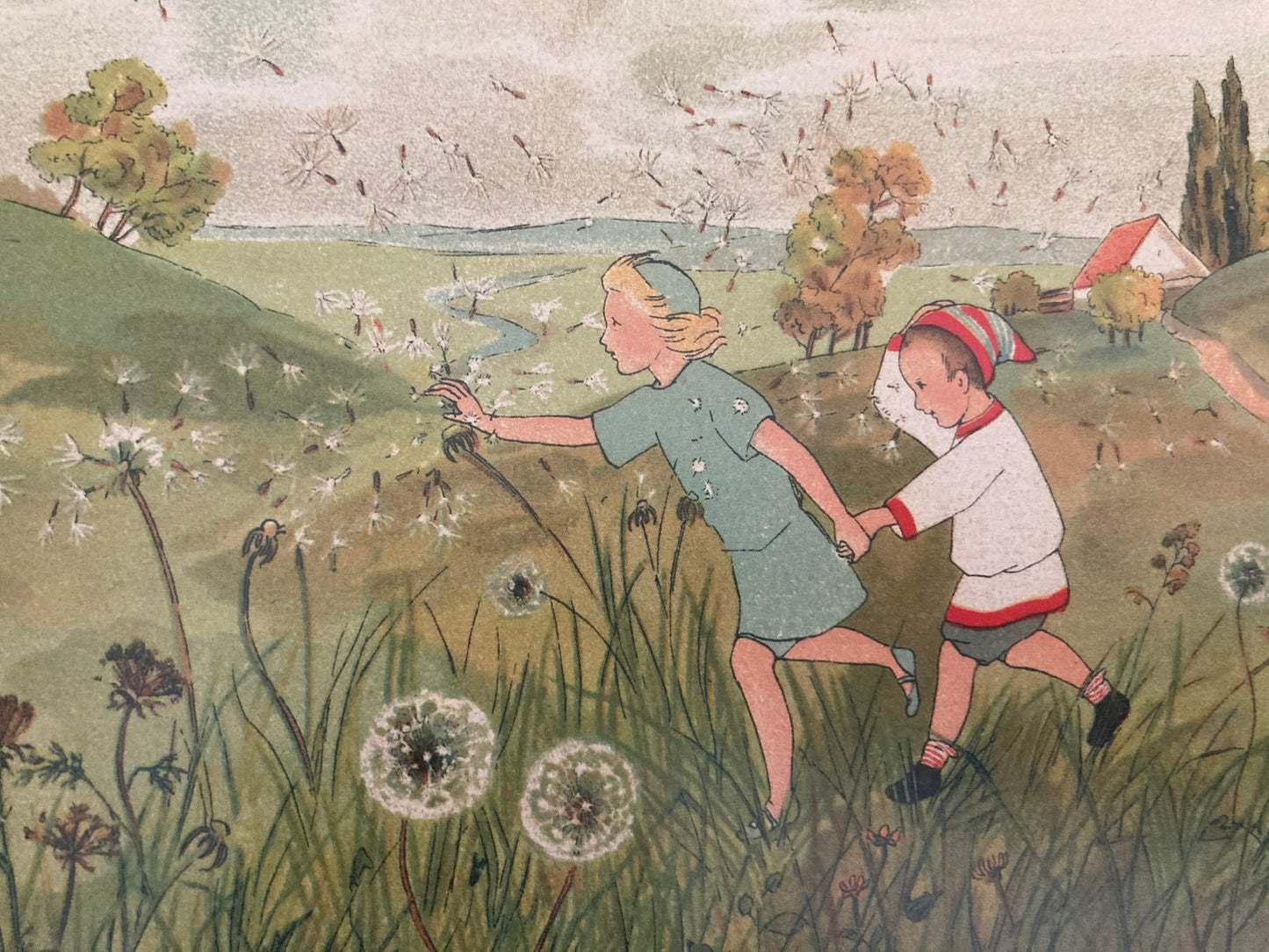 Children's Picture Book - THE STORY OF THE WIND CHILDREN