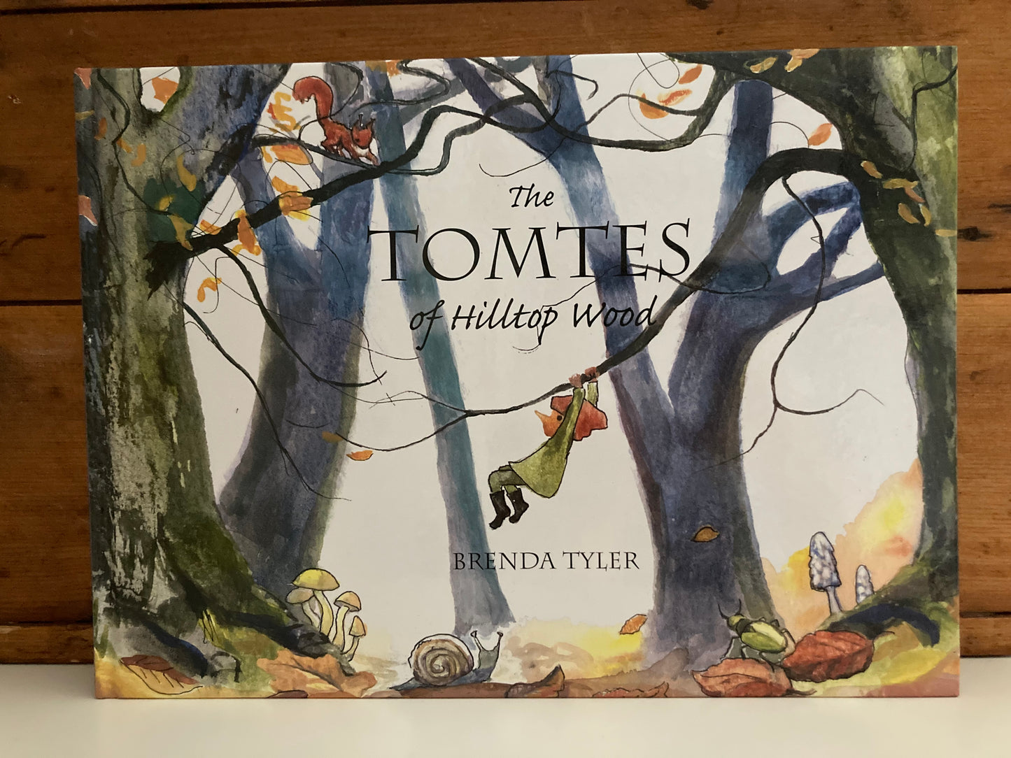 Children's Picture Book - The TOMTES OF HILLTOP WOOD Series (3 Titles)