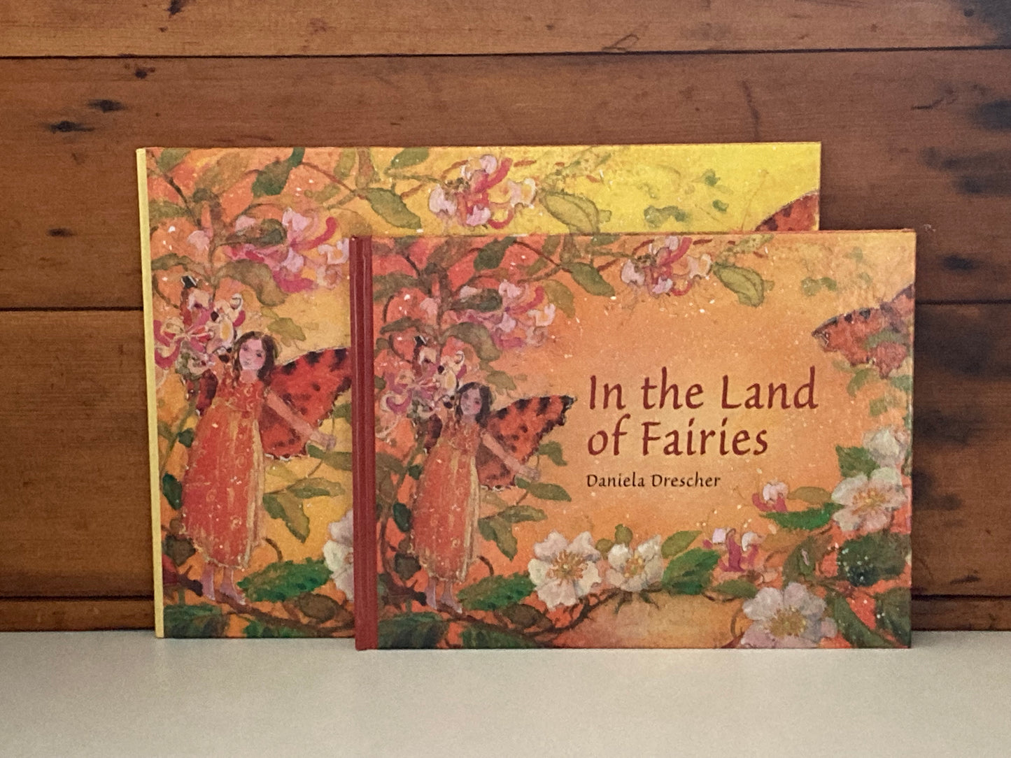 Children’s Picture Book - IN THE LAND OF FAIRIES