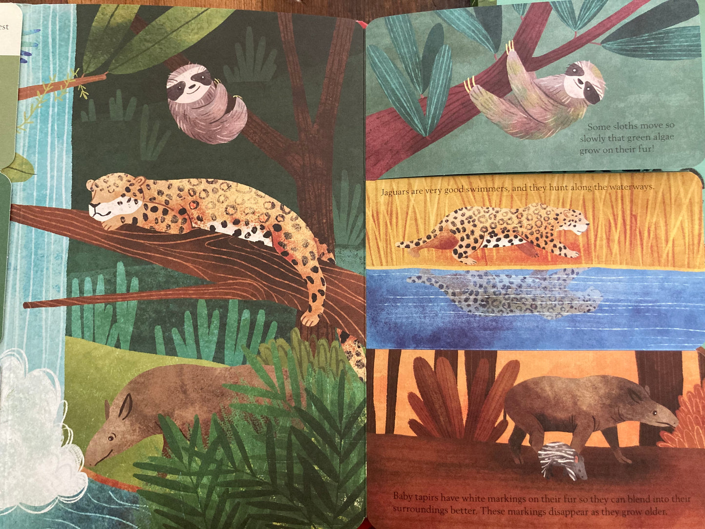 Educational Book - HIDDEN WORLD of ANIMALS, with lift-the-flaps
