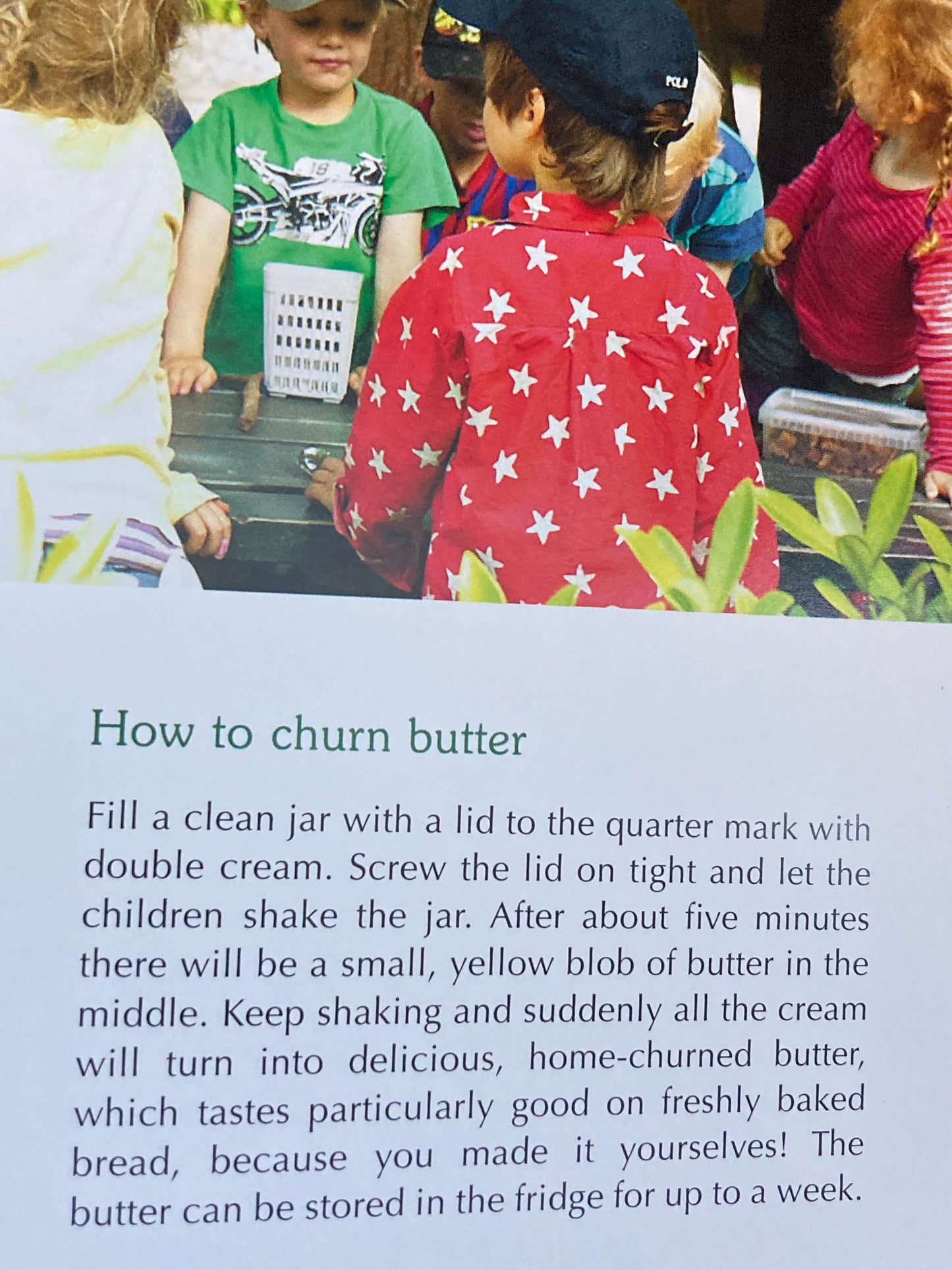 Parenting Resource Book - A WALDORF COOKBOOK, PUMPKIN SOUP & CHERRY BREAD