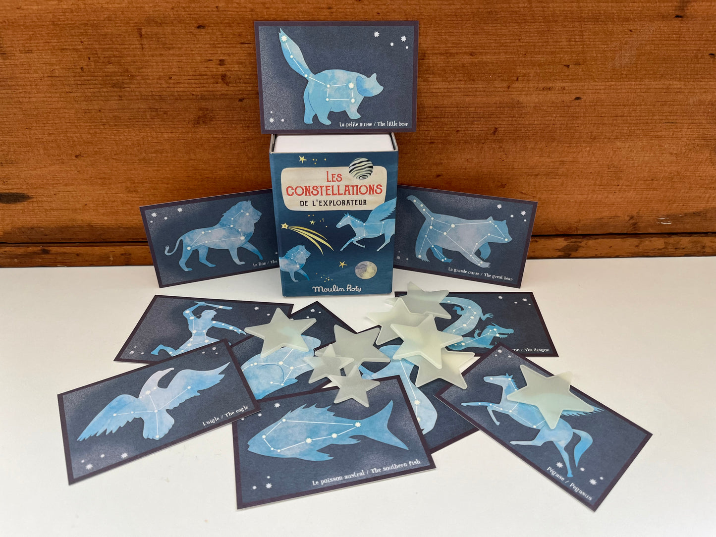 Educational Toy - STAR CONSTELLATIONS..."Glow-in-the-dark!"