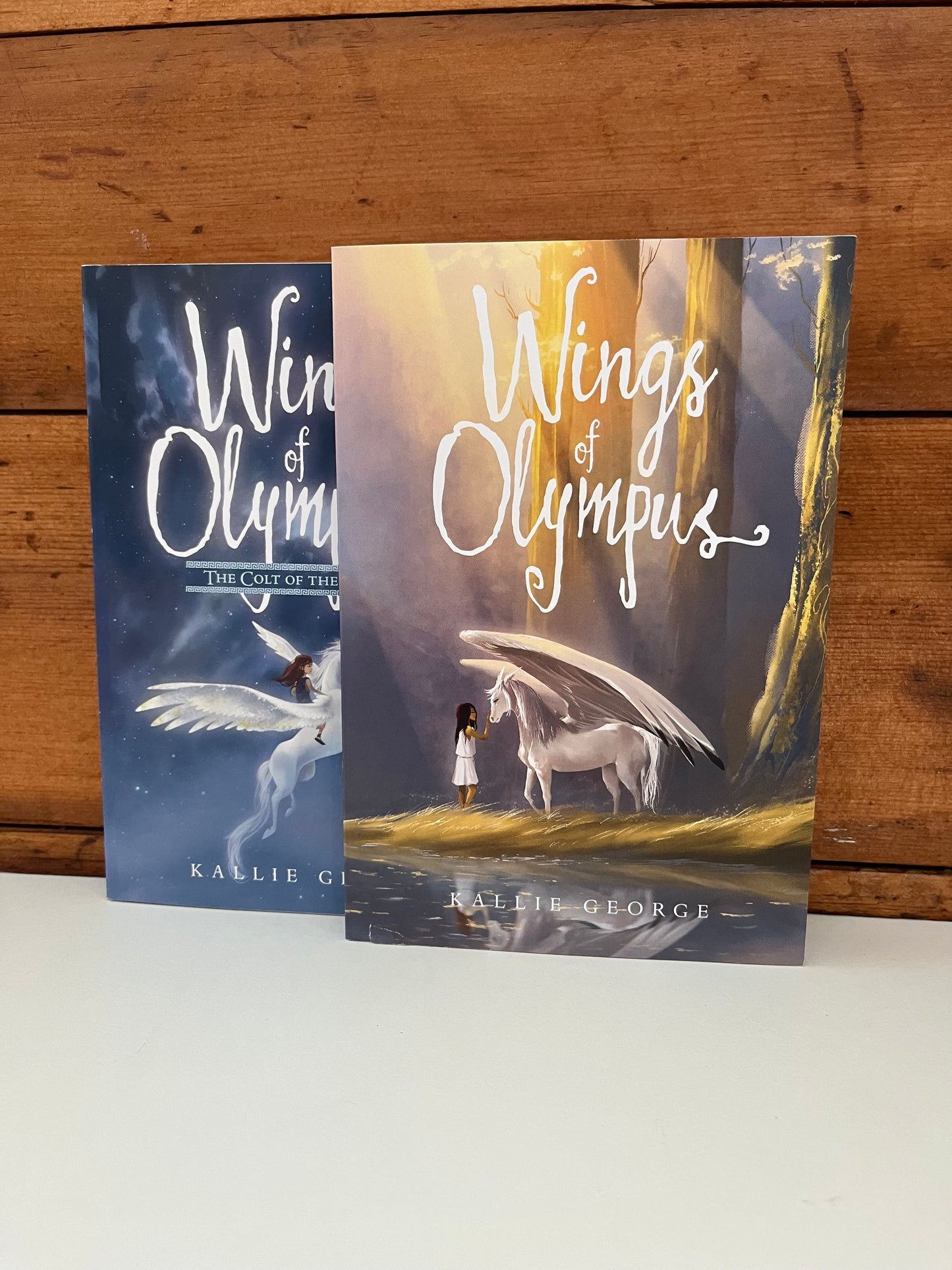 Chapter Books for Older Readers - THE COLT OF THE CLOUDS, Wings of Olympus, Book Two