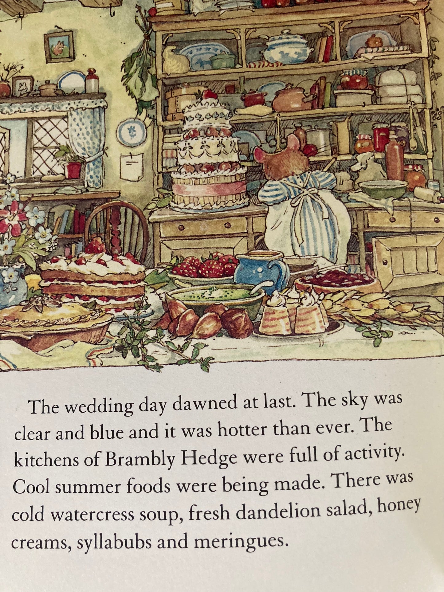 Children's Picture Book - SUMMER STORY of THE MICE OF BRAMBLY HEDGE –  Gnomes & Acorns