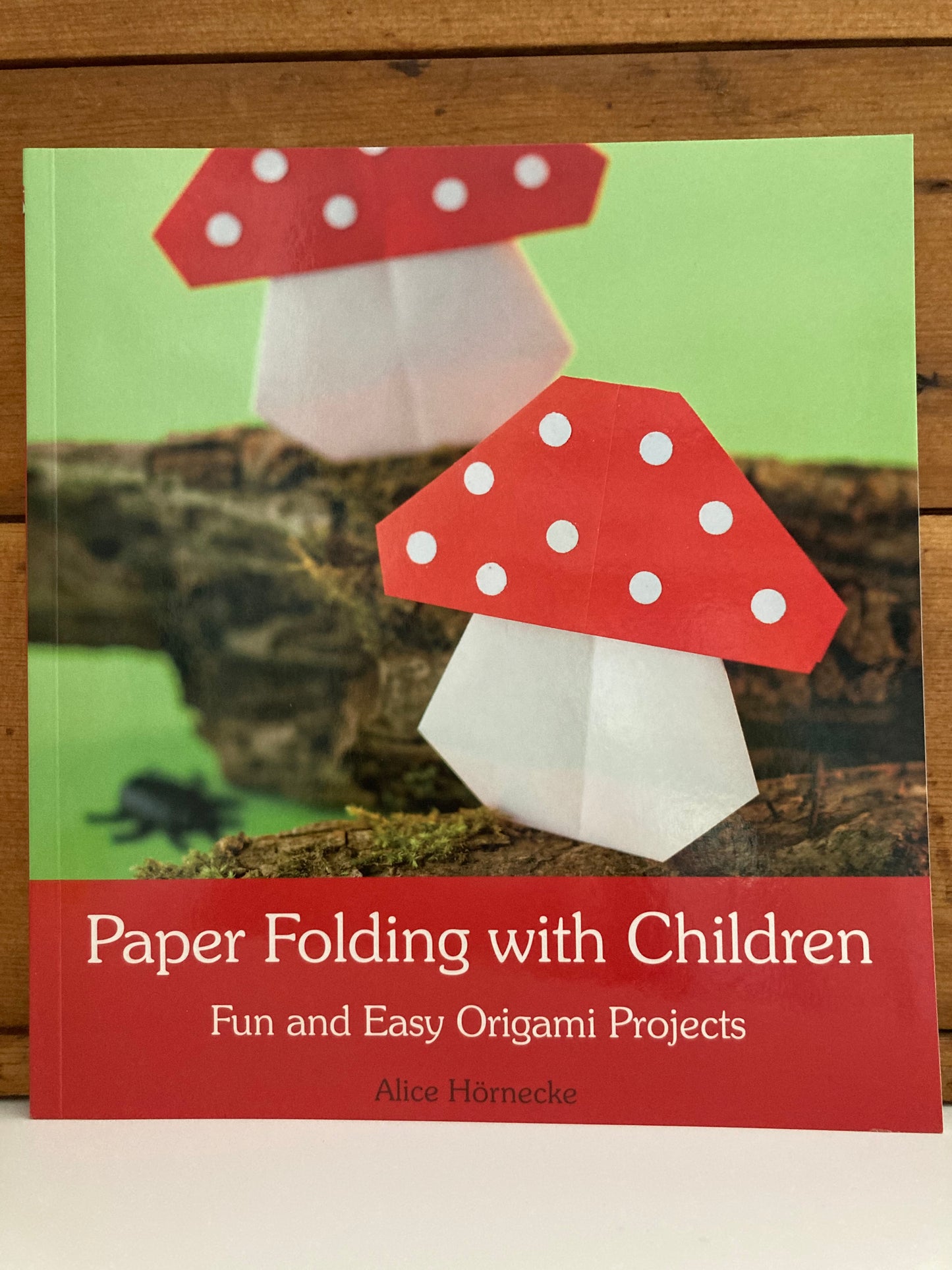 Livre de ressources d'artisanat - PLIAGE DE PAPIER AVEC DES ENFANTS