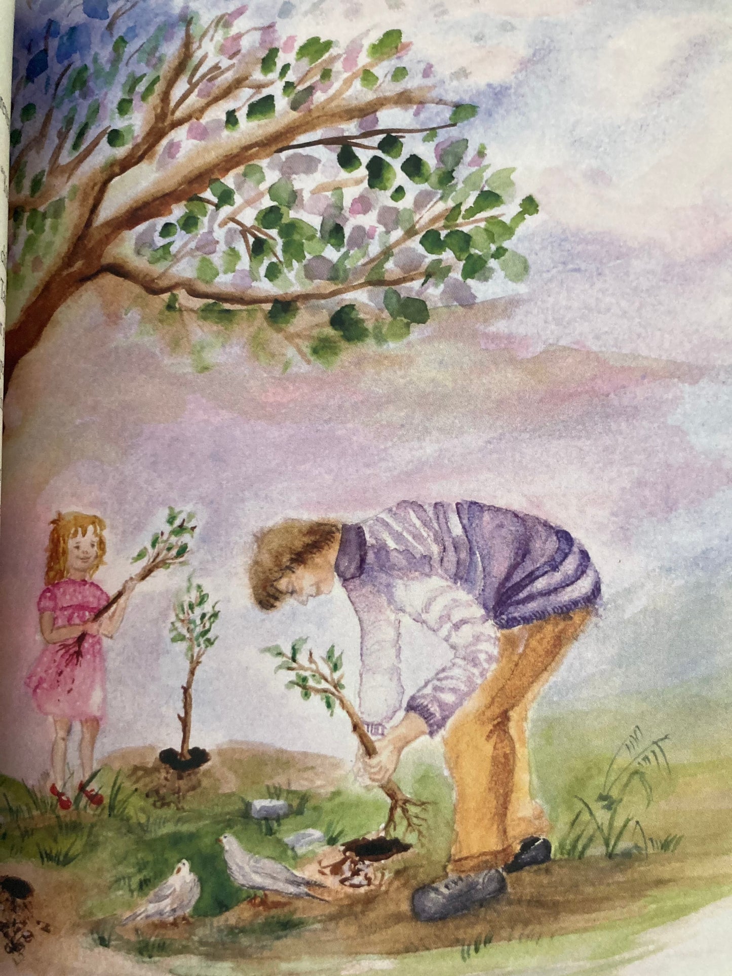 Educational Chapter Picture Book - JONATHAN AND THE TREE