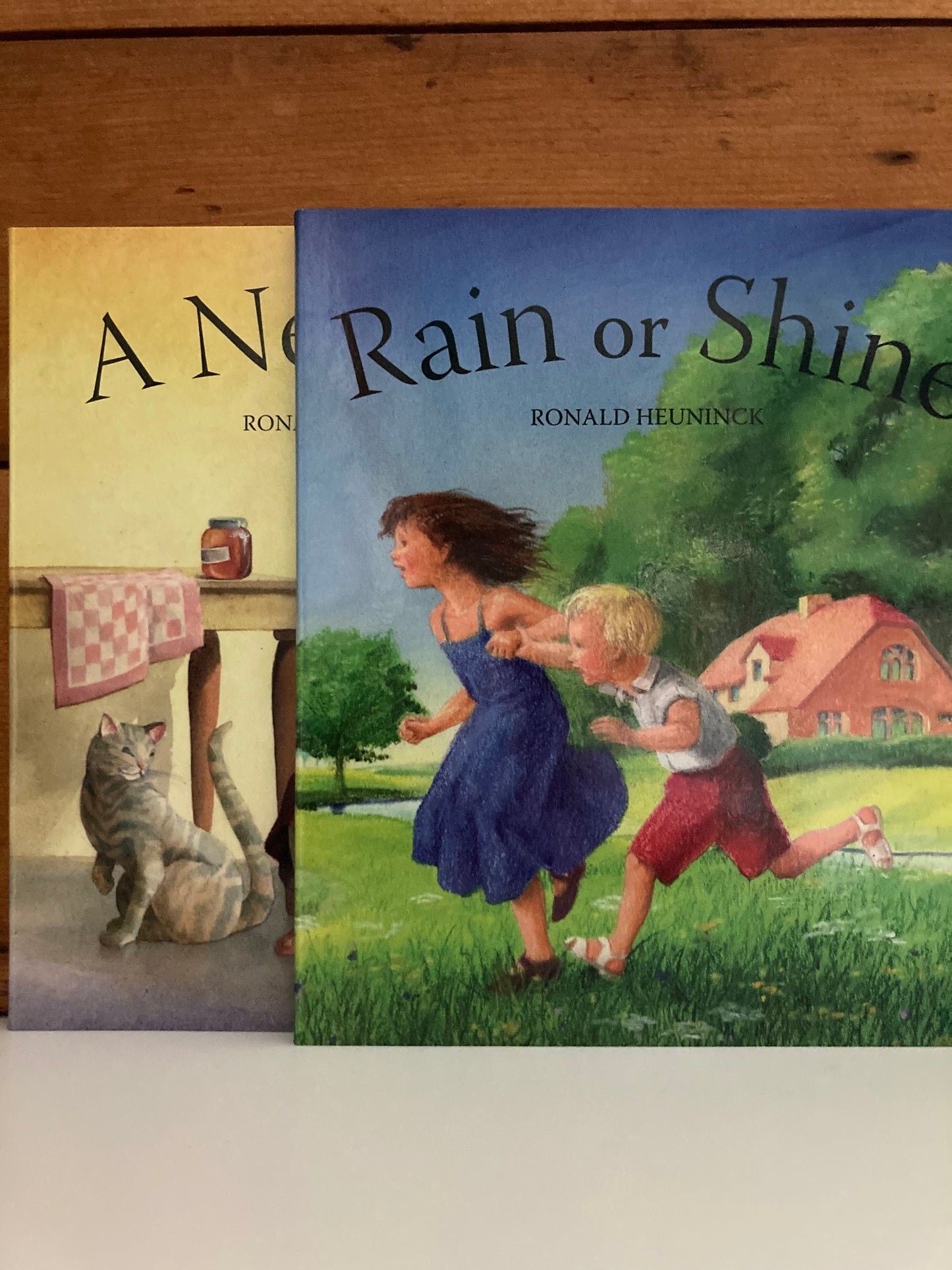 Livre cartonné, bébé - RAIN OR SHINE /ou, A NEW DAY