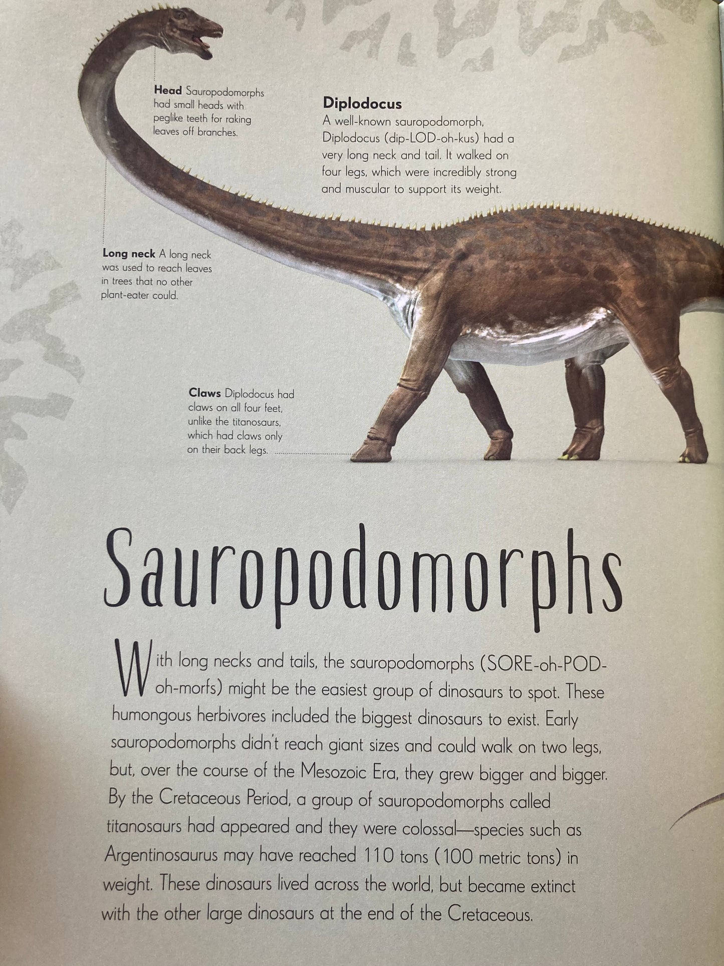 Educational Resource Picture Book - DINOSAURS AND PRE-HISTORIC LIFE