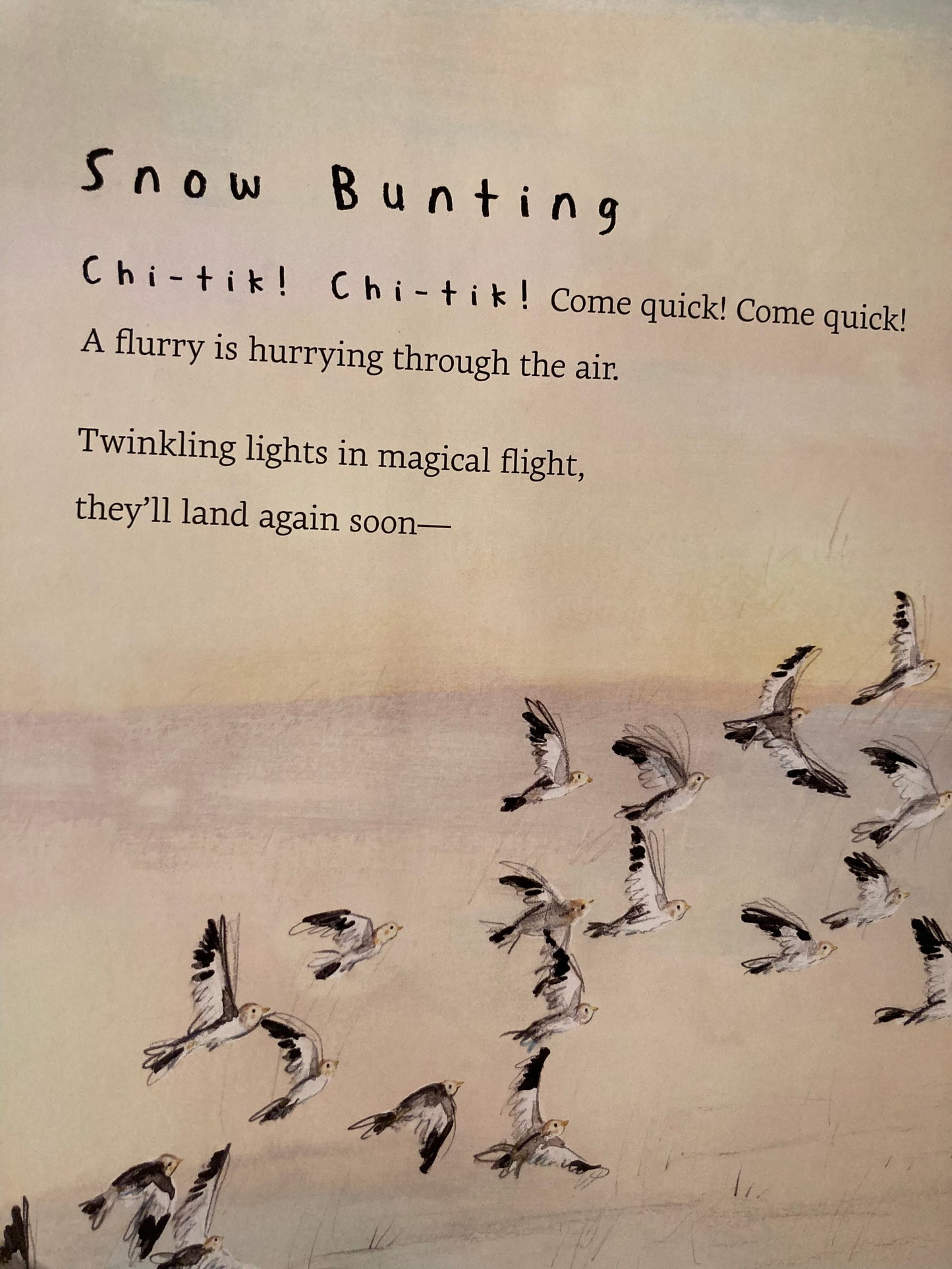 Children’s Picture Book - SNOW BIRDS