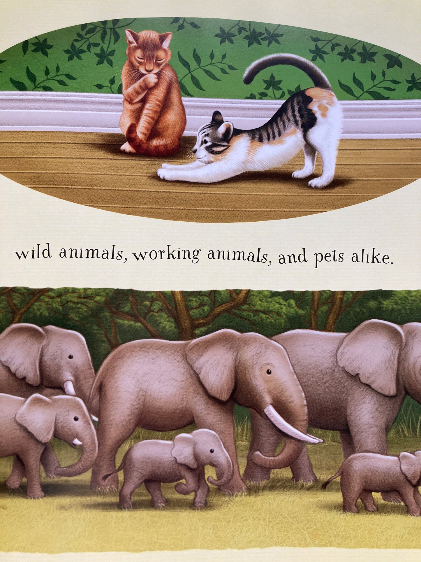 Children’s Picture Book - A PRAYER FOR THE ANIMALS