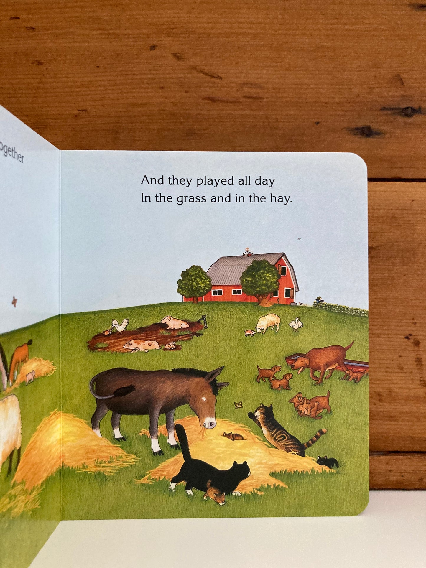 Board Book, Baby - BIG RED BARN