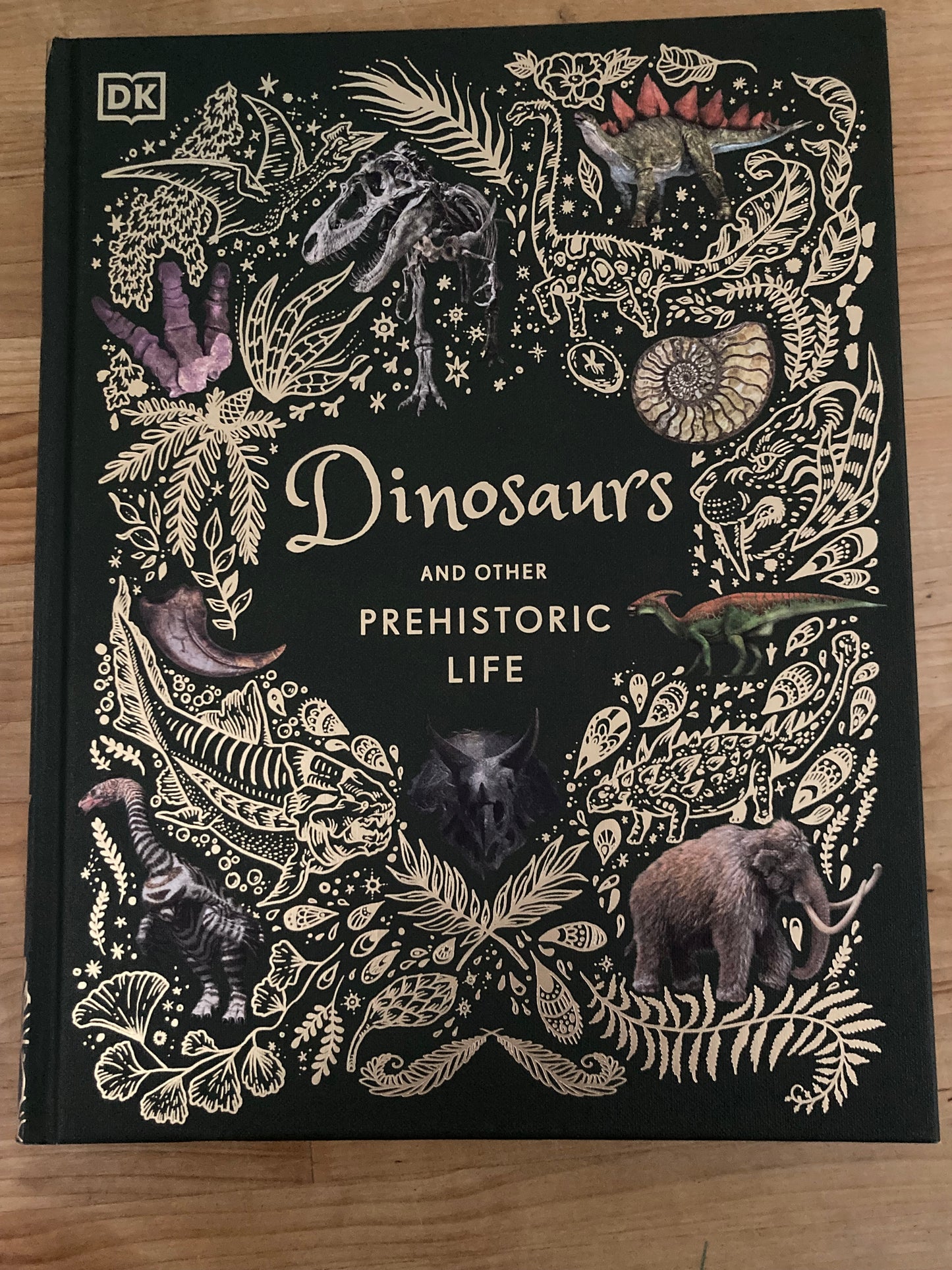 Livre d'images de ressources pédagogiques - DINOSAURES ET VIE PRÉHISTORIQUE