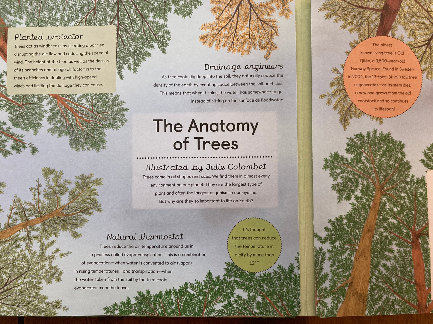 Educational Book - FORESTS IN FOCUS