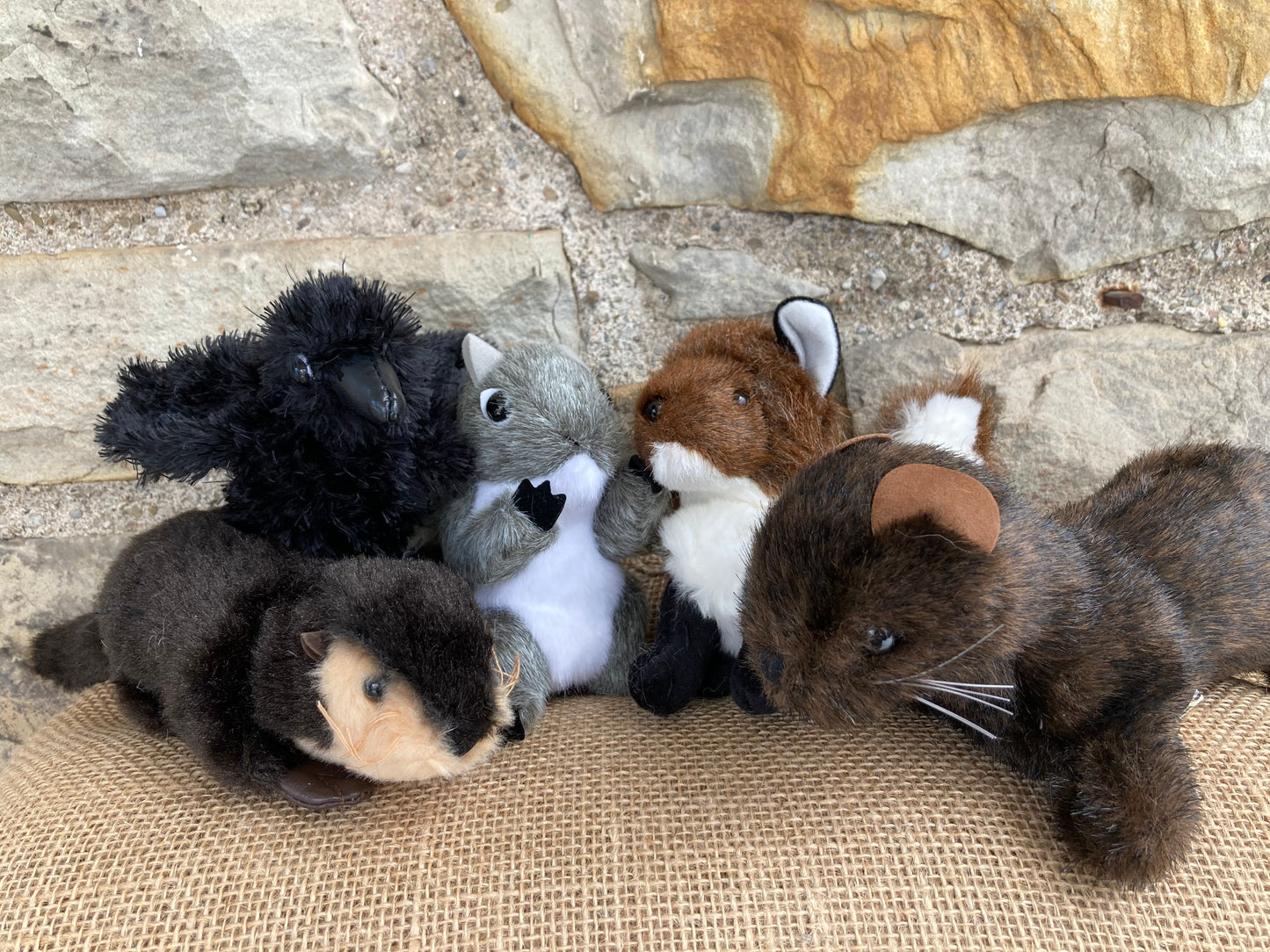 Soft Mini Puppet Set - WILD ANIMALS of the NORTH WOODS