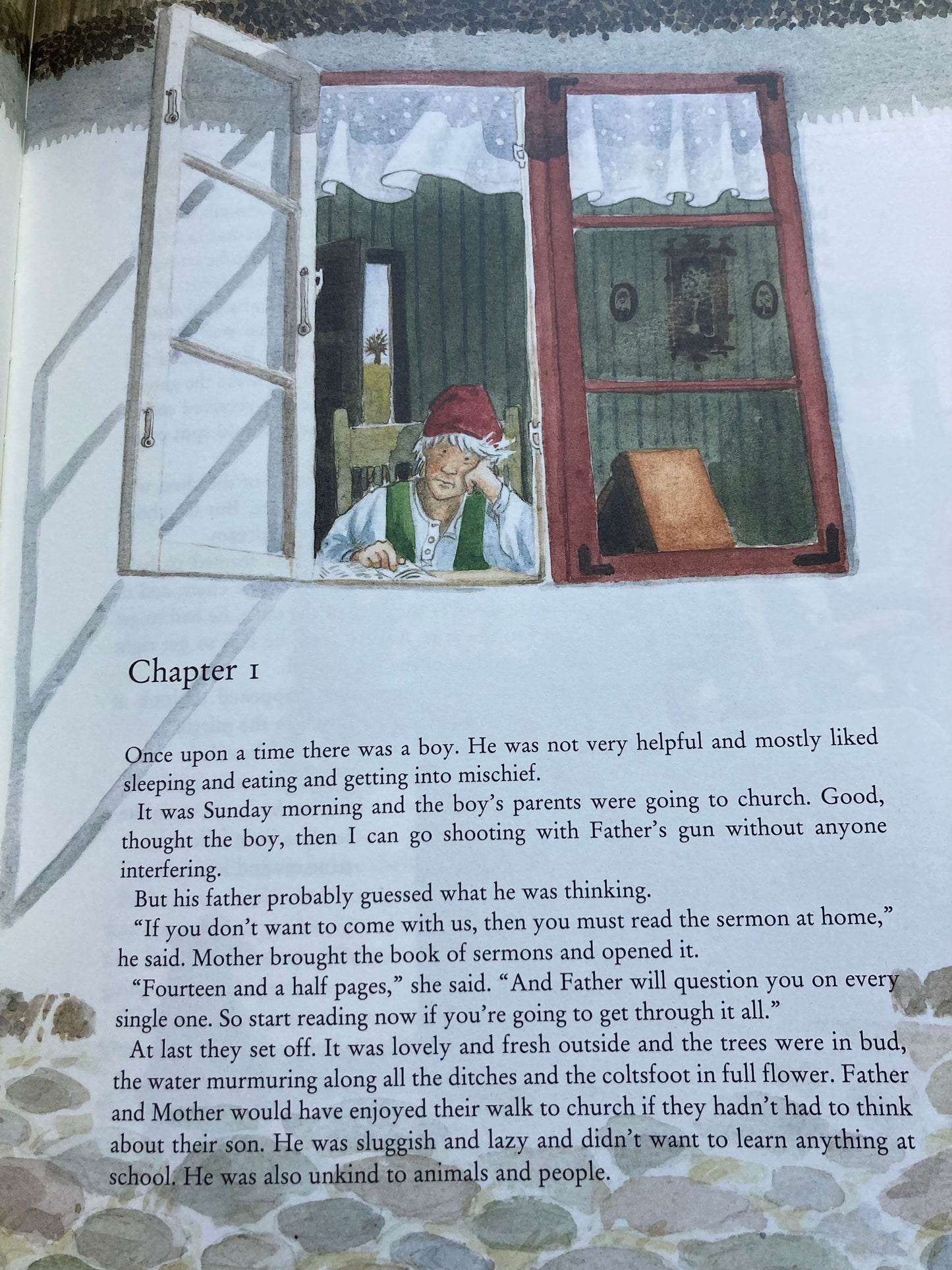 Children's Chapter Picture Book - THE WONDERFUL ADVENTURES OF NILS