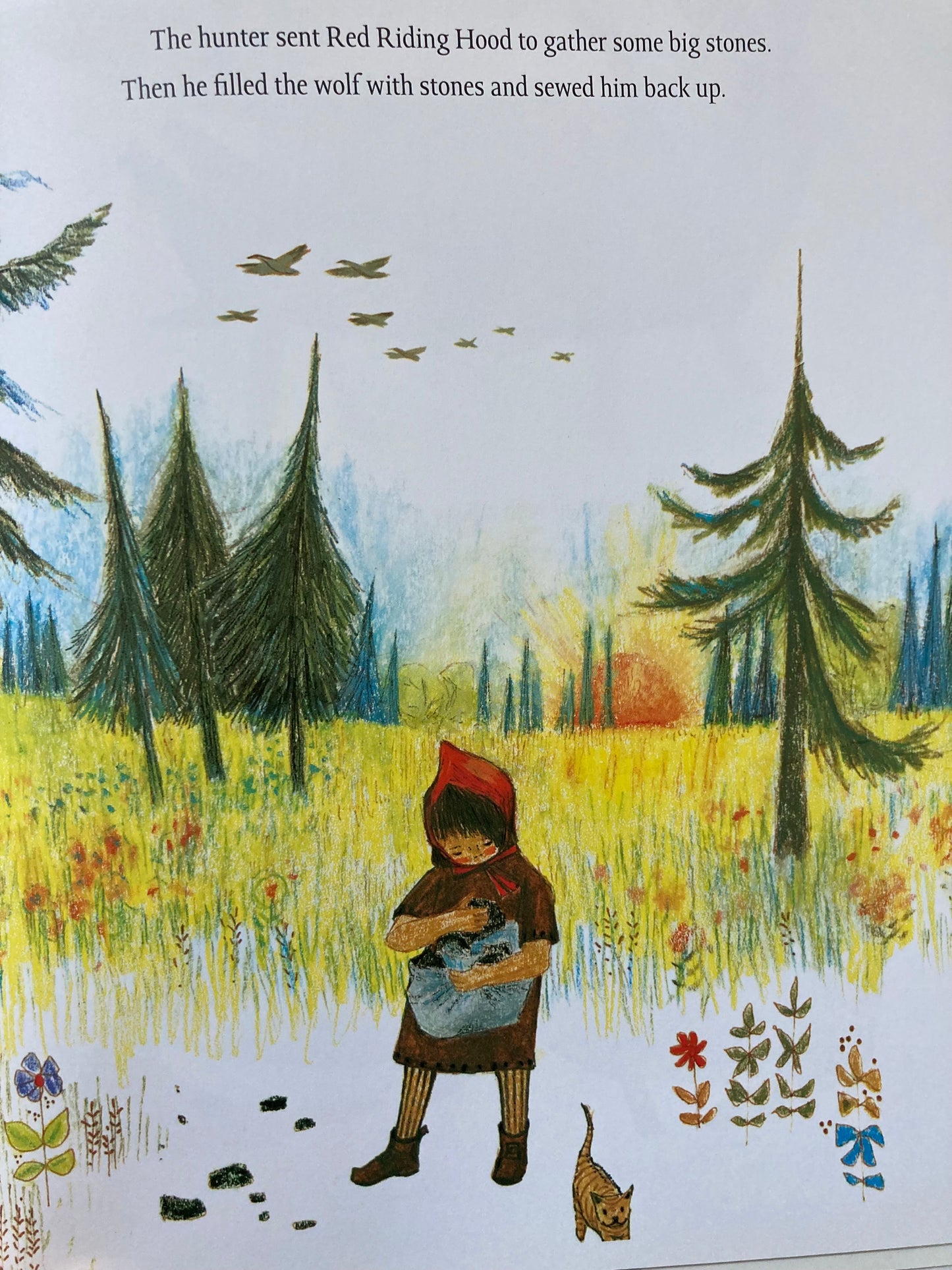 Children's Fairy Tale Book - LITTLE RED RIDING HOOD
