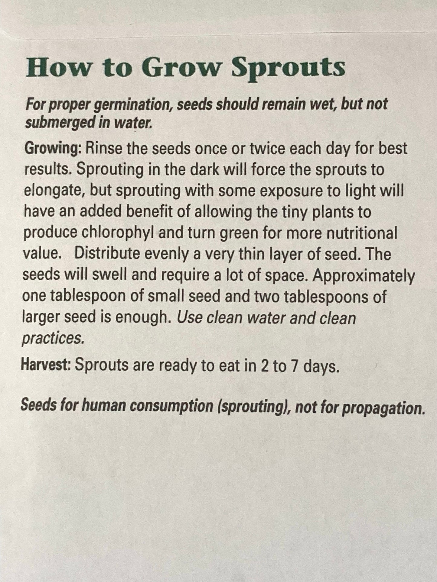 SEEDS for SPROUTING and BEE GARDEN!… 5 choices
