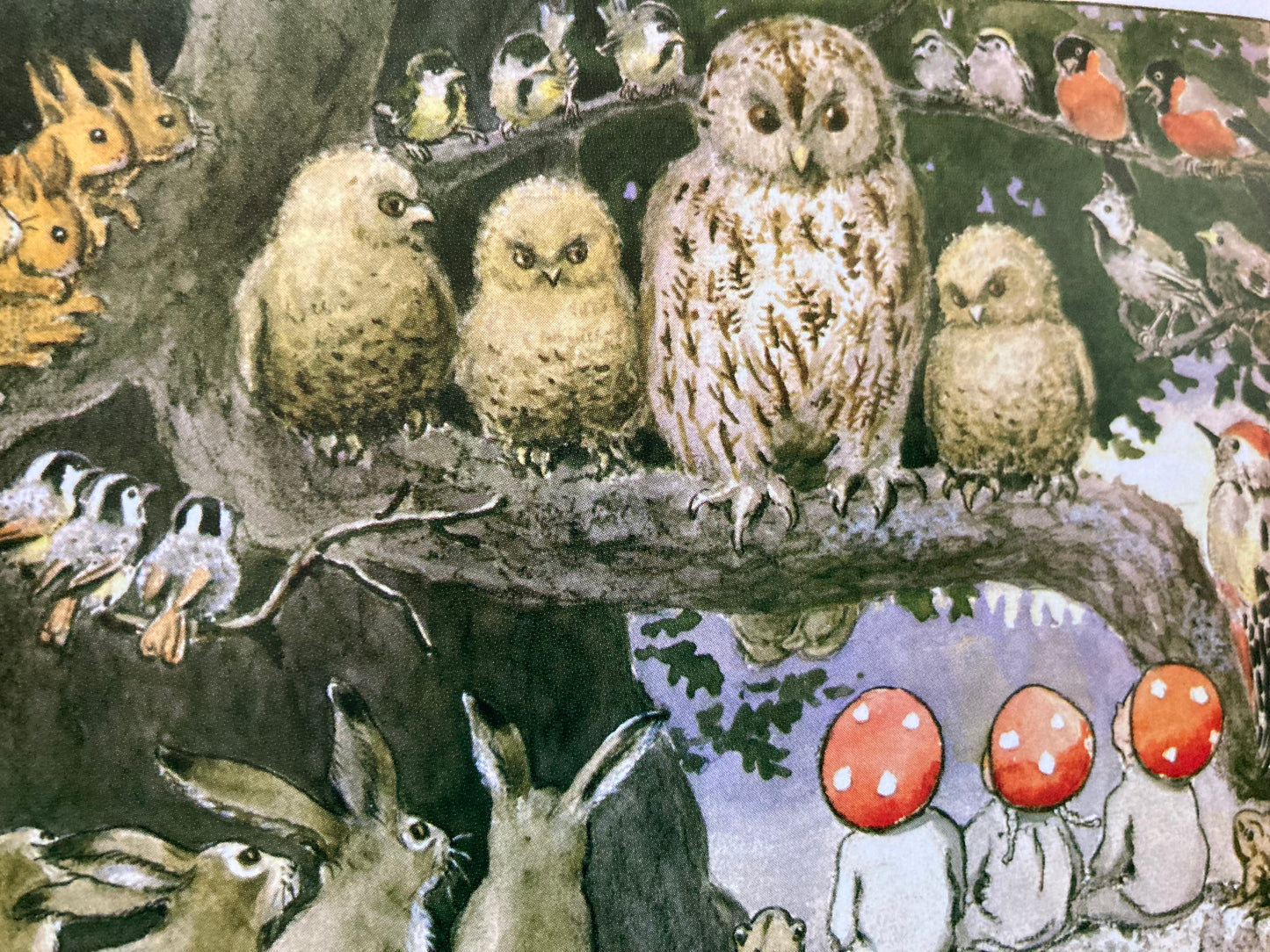 Children's Picture Book - CHILDREN OF THE FOREST