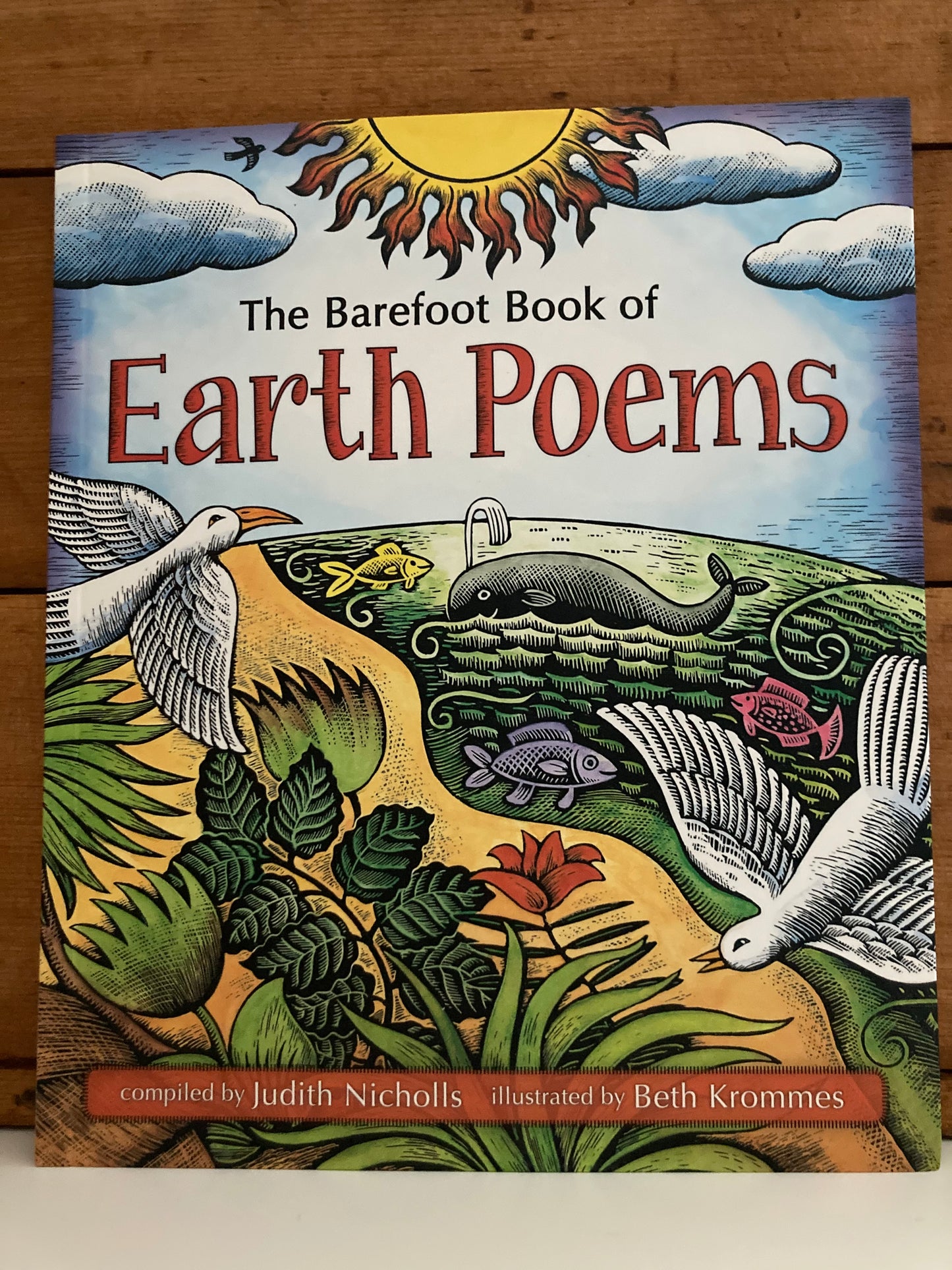 Educational Picture Book - EARTH POEMS