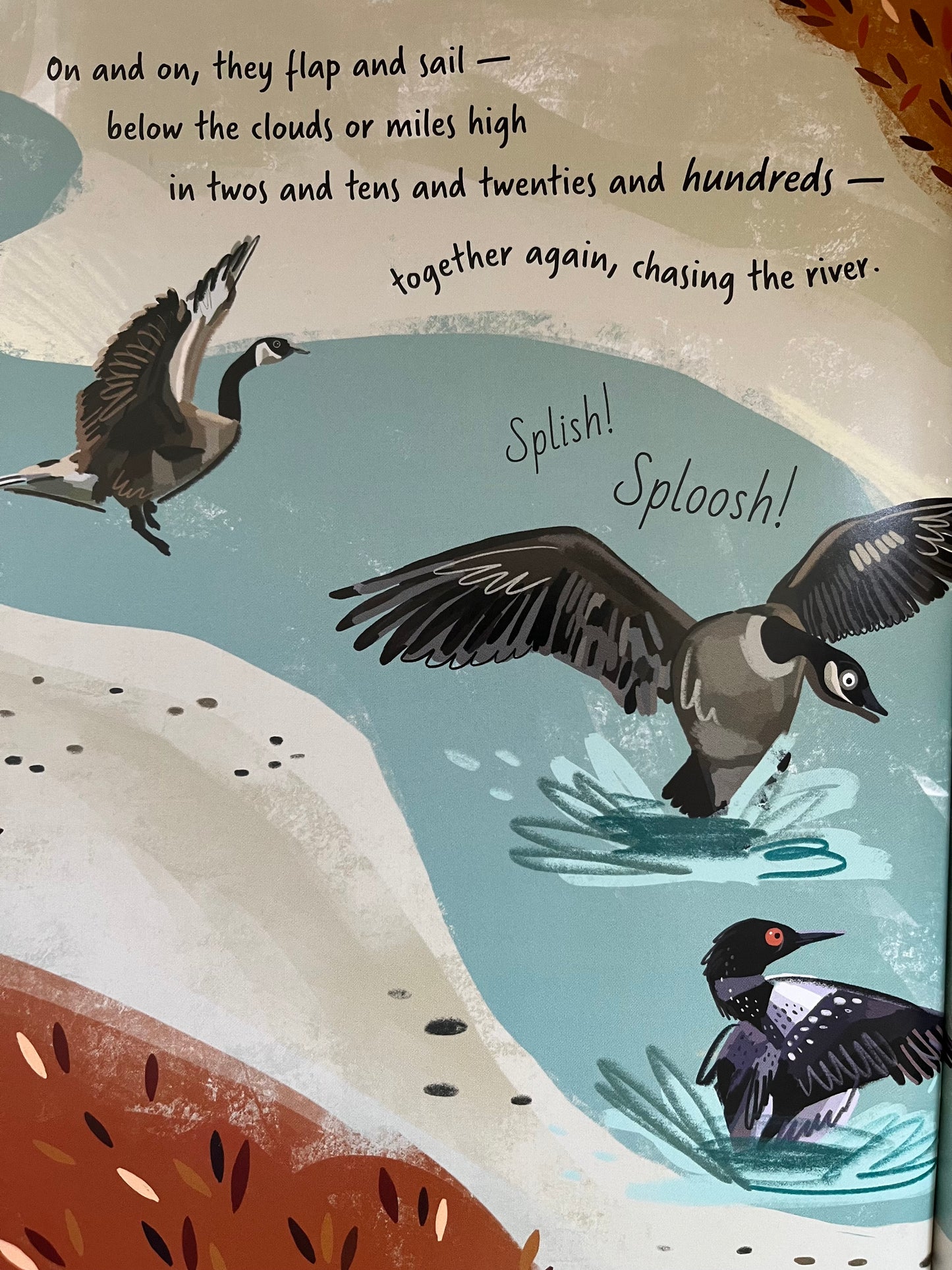 Educational Picture Book  - FOLLOW THE FLYWAY, The Marvel of Bird Migration