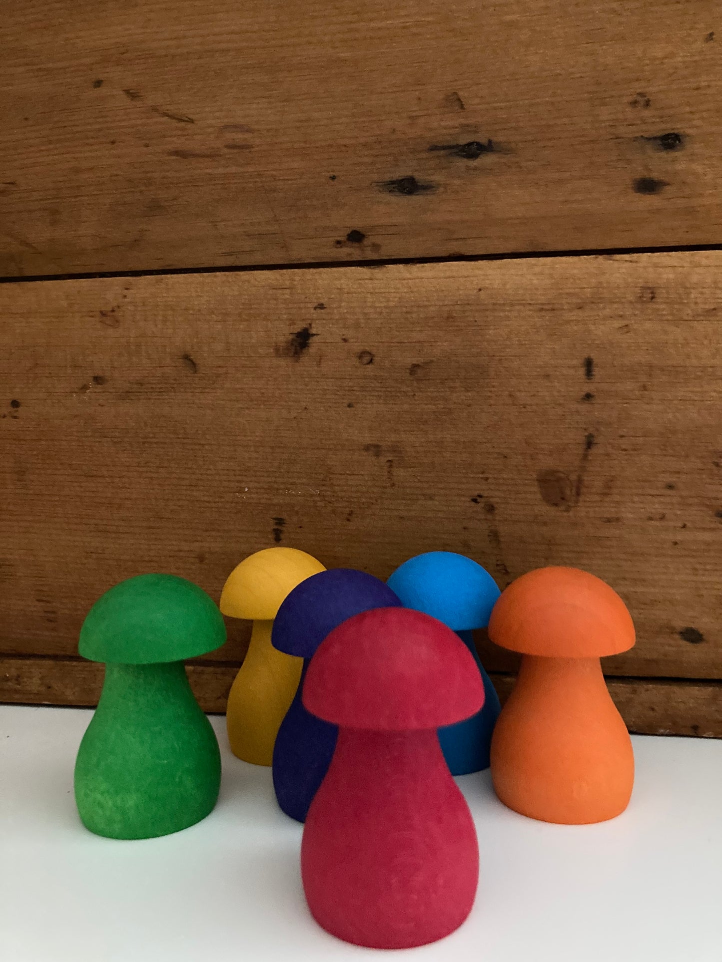 Wooden Toy Game - RAINBOW MUSHROOMS GAME Set